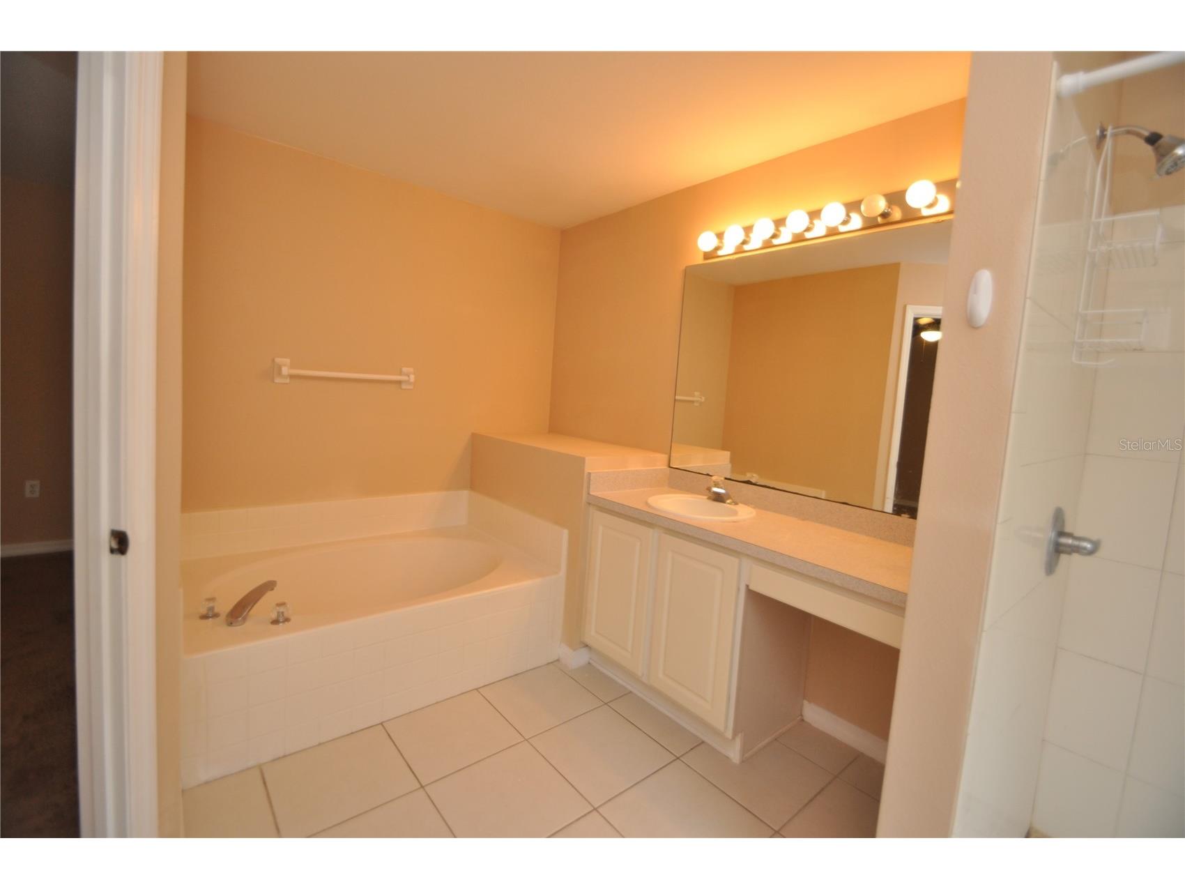 65 Rolling Fern Drive Palm Coast FL 32164 FC319373 image23
