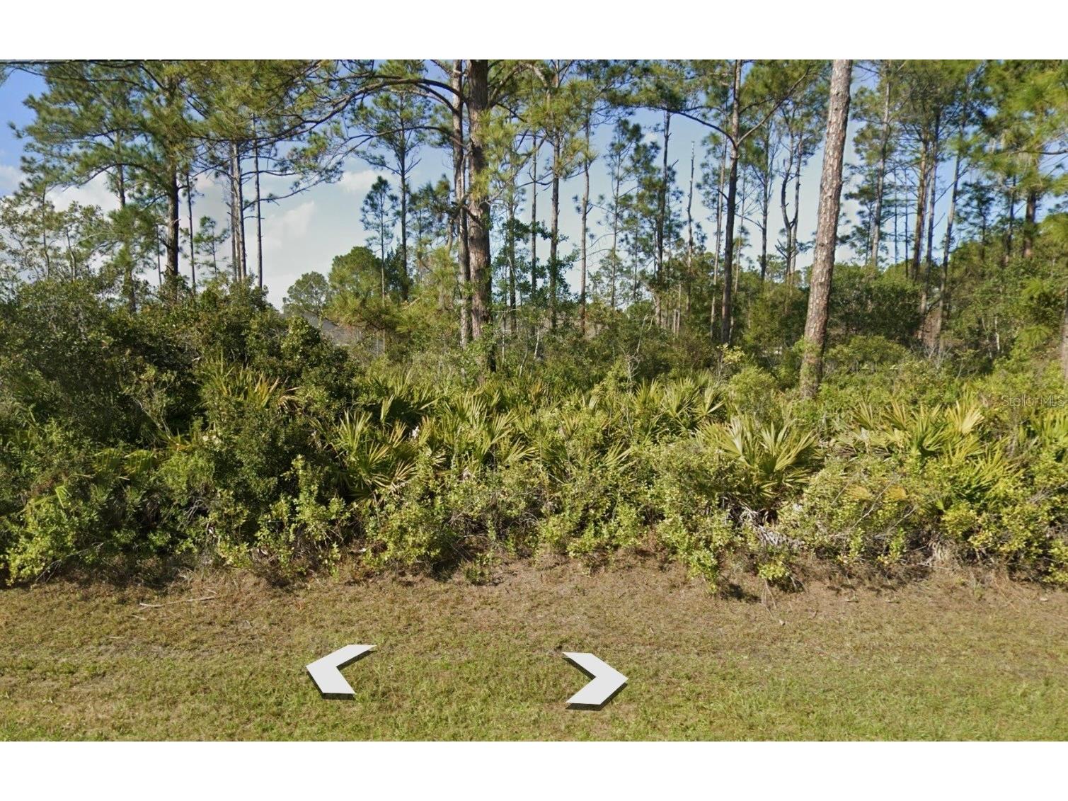 65 Sea Trail Palm Coast FL 32164 FC315296 image1