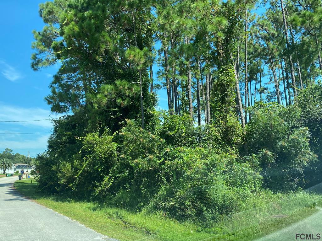 65 Wellesley Lane Palm Coast FL 32164 FC270387 image2