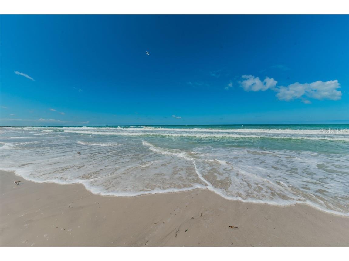 650 70th Avenue Saint Pete Beach FL 33706 - GULF OF MEXICO TB8347108 image63