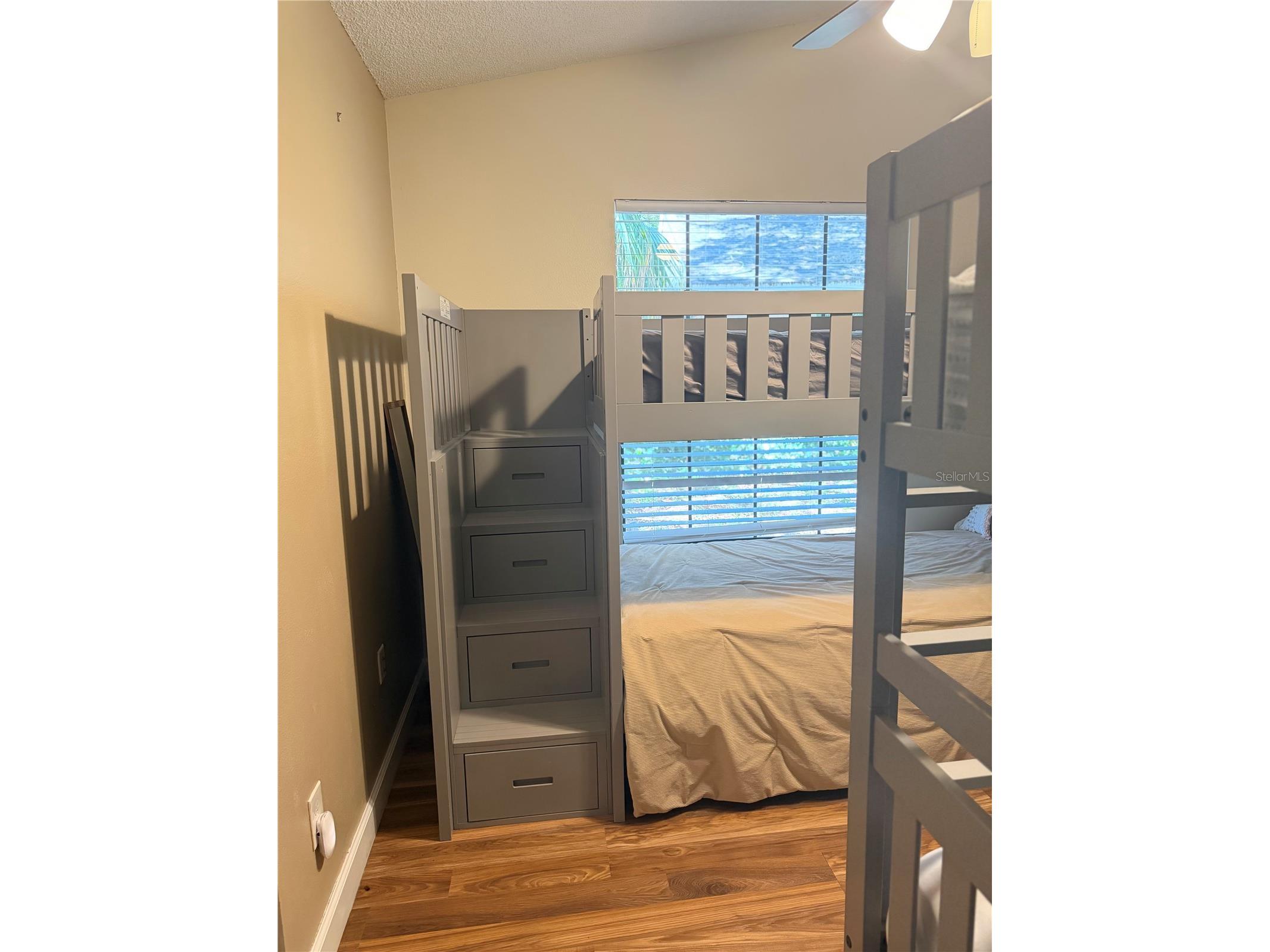 650 Bellingham Place Palm Harbor FL 34684 TB8518849 image12