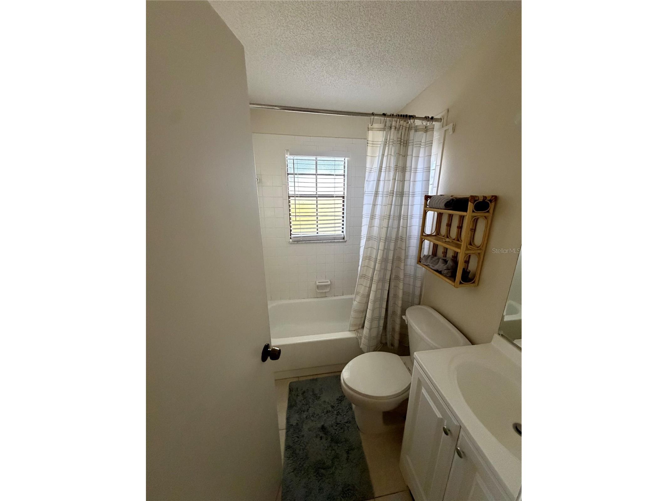 650 Bellingham Place Palm Harbor FL 34684 TB8518849 image15