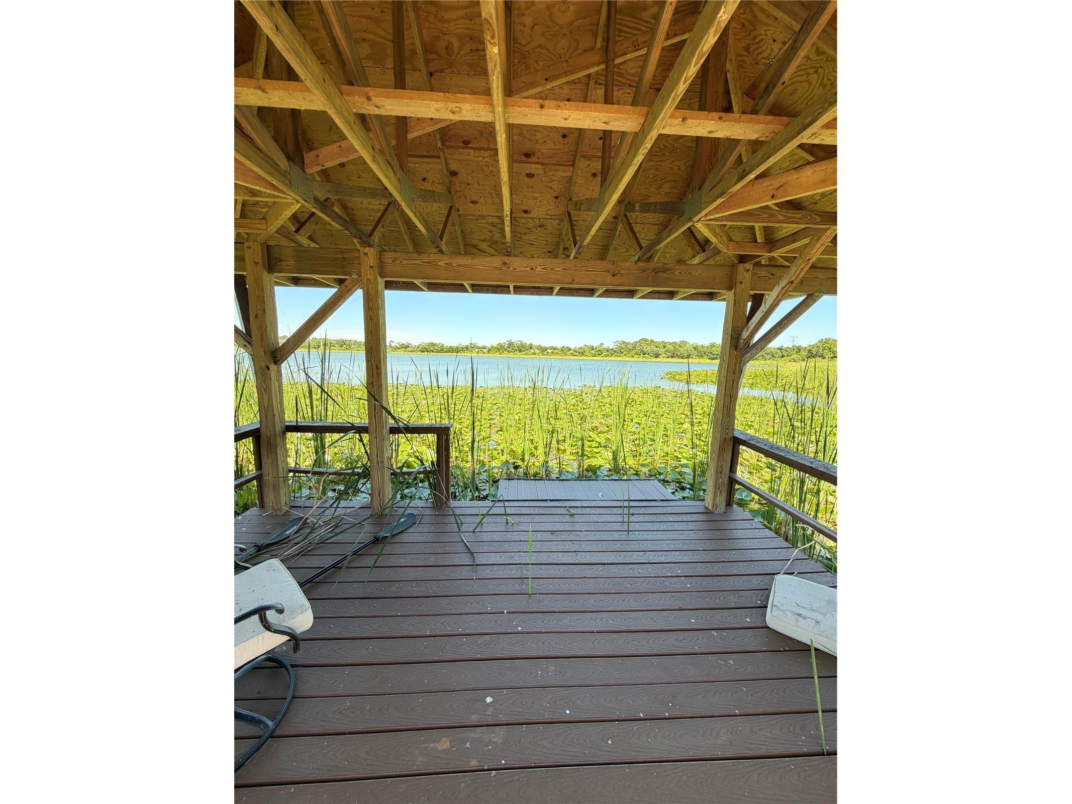 650 Bellingham Place Palm Harbor FL 34684 TB8518849 image17