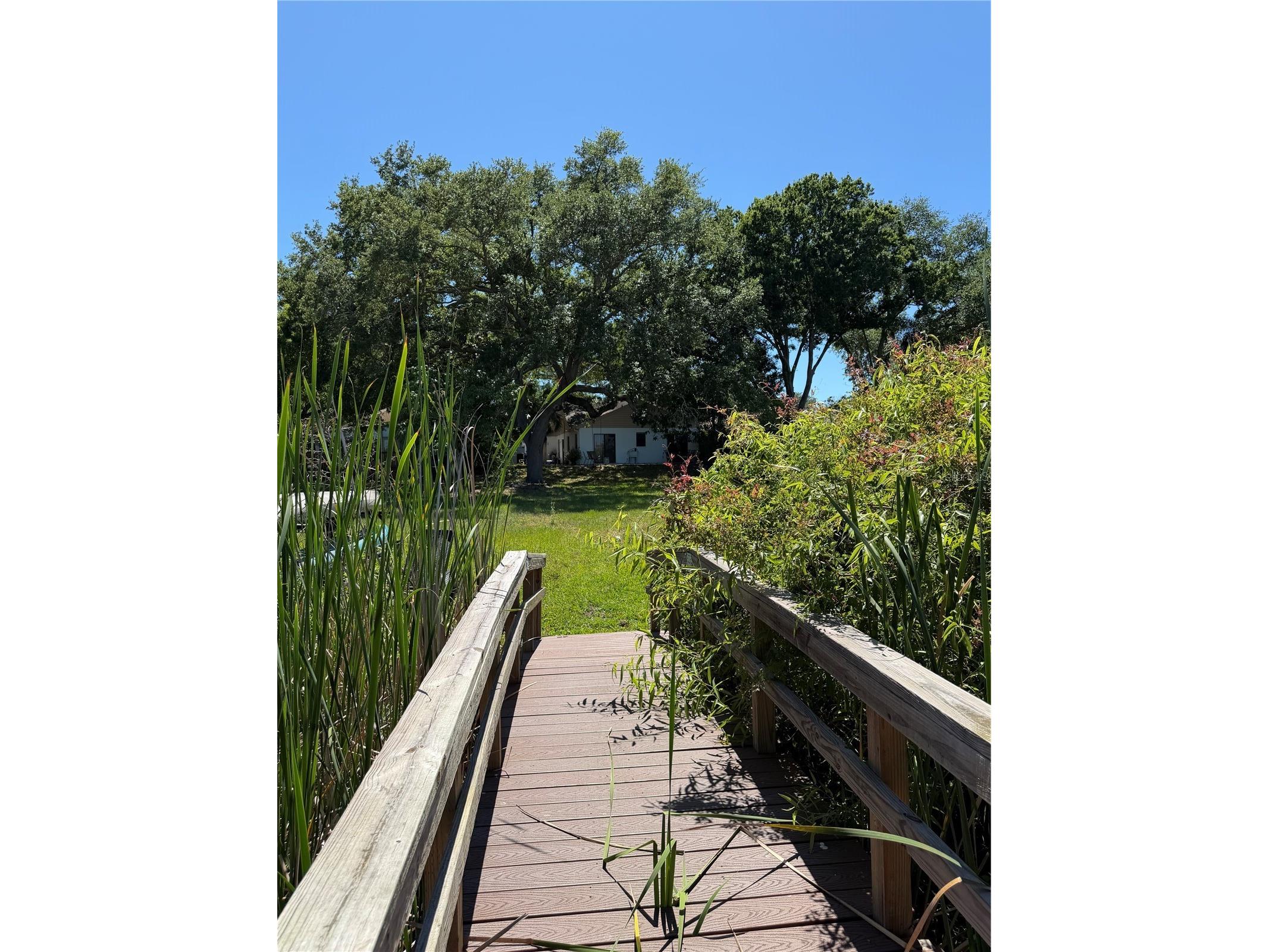 650 Bellingham Place Palm Harbor FL 34684 TB8518849 image18