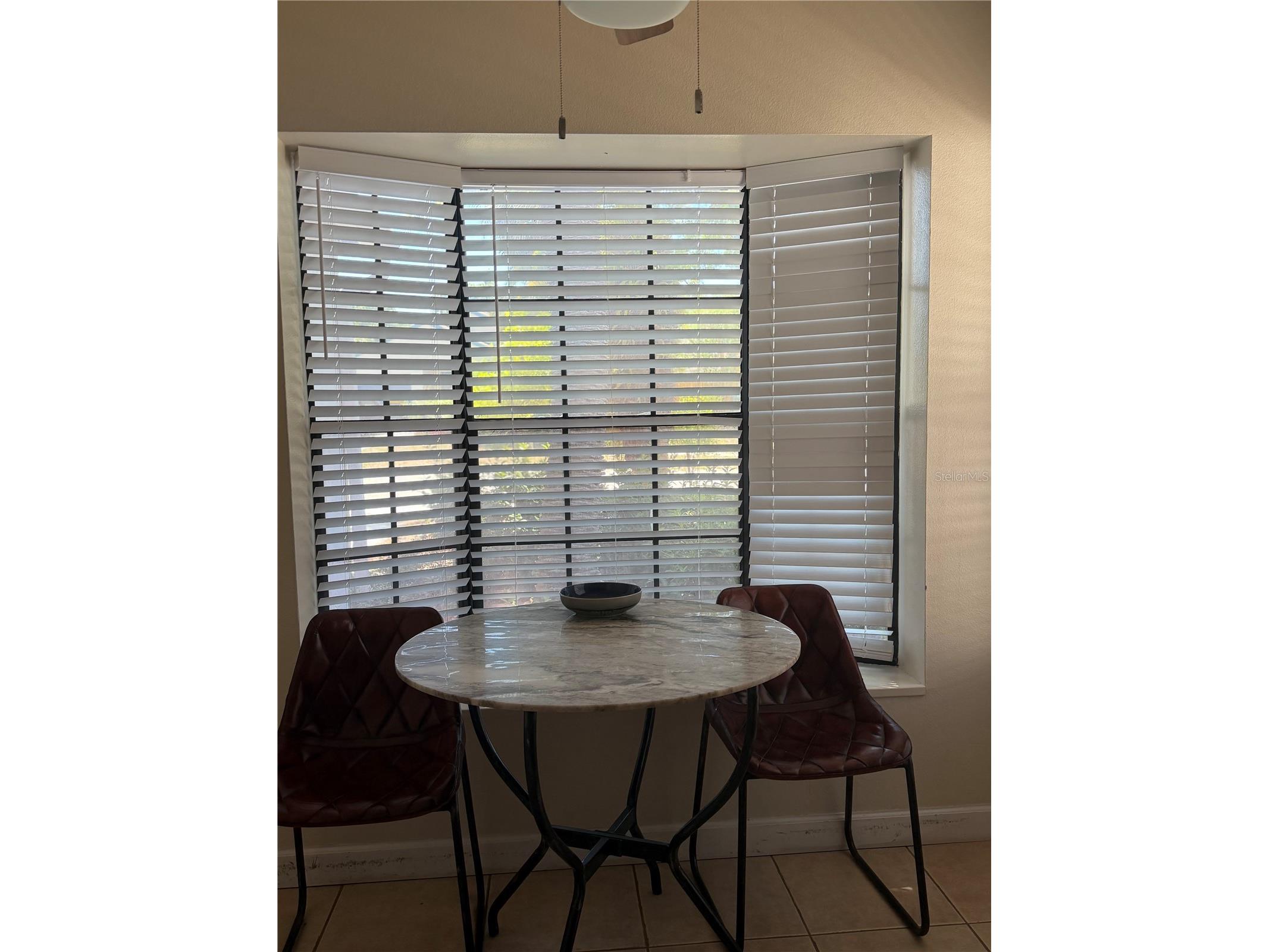 650 Bellingham Place Palm Harbor FL 34684 TB8518849 image3
