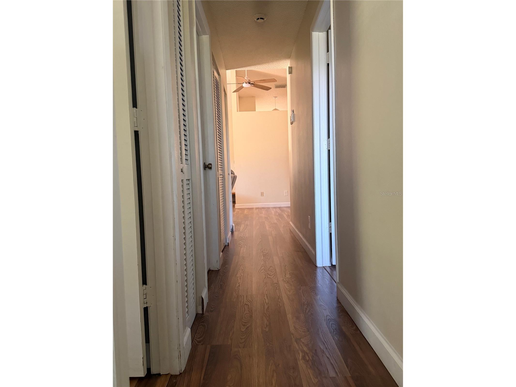 650 Bellingham Place Palm Harbor FL 34684 TB8518849 image5