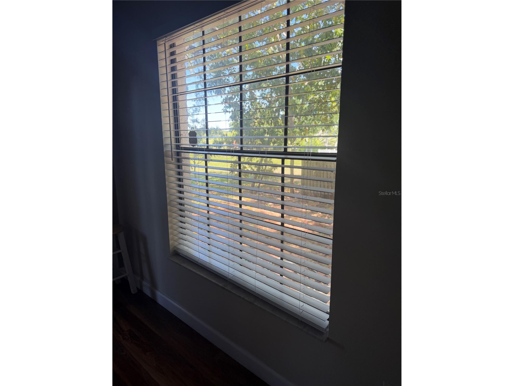 650 Bellingham Place Palm Harbor FL 34684 TB8518849 image6
