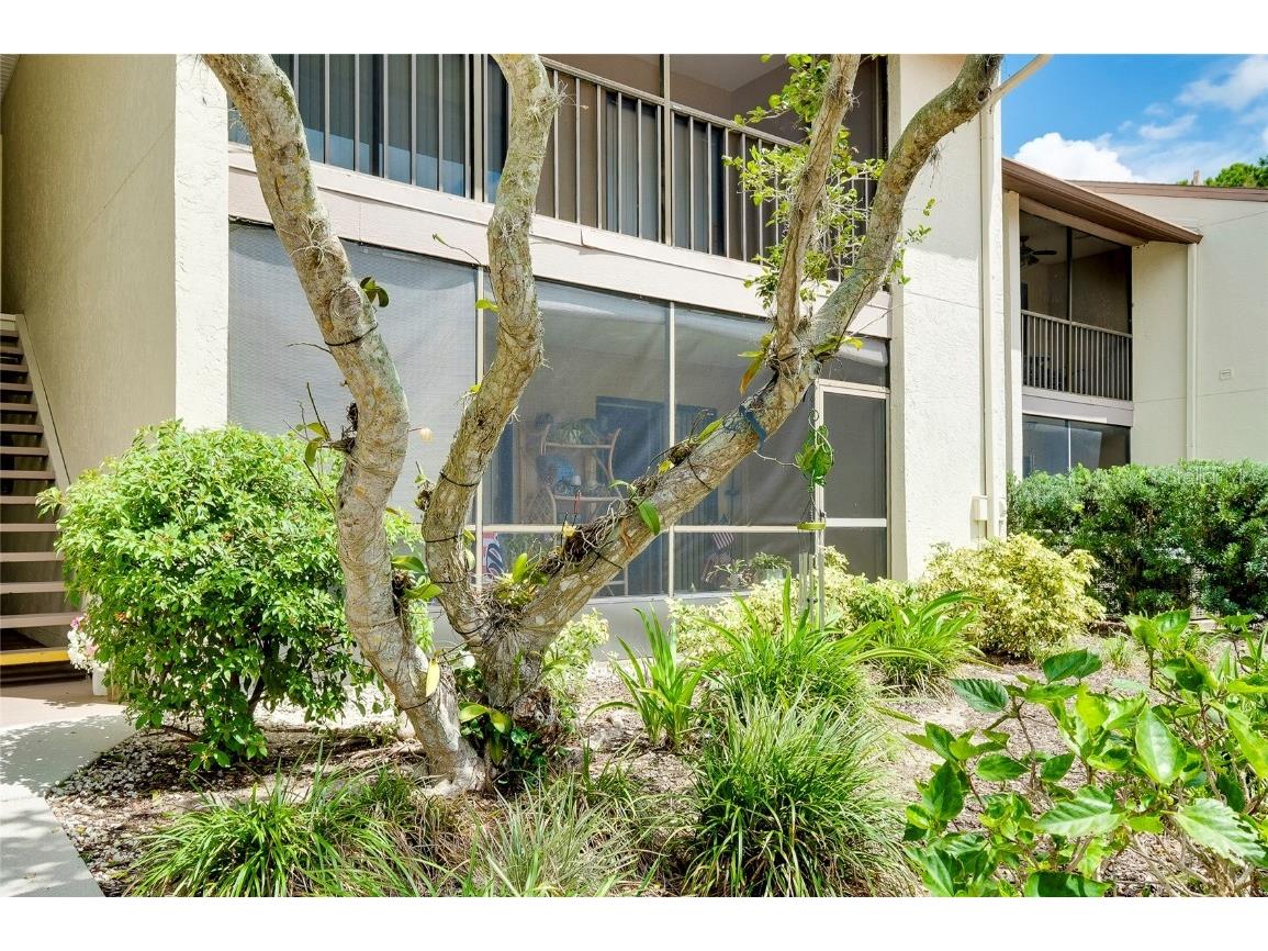 650 Bird Bay Drive E #203 Venice FL 34285 N6139682 image46