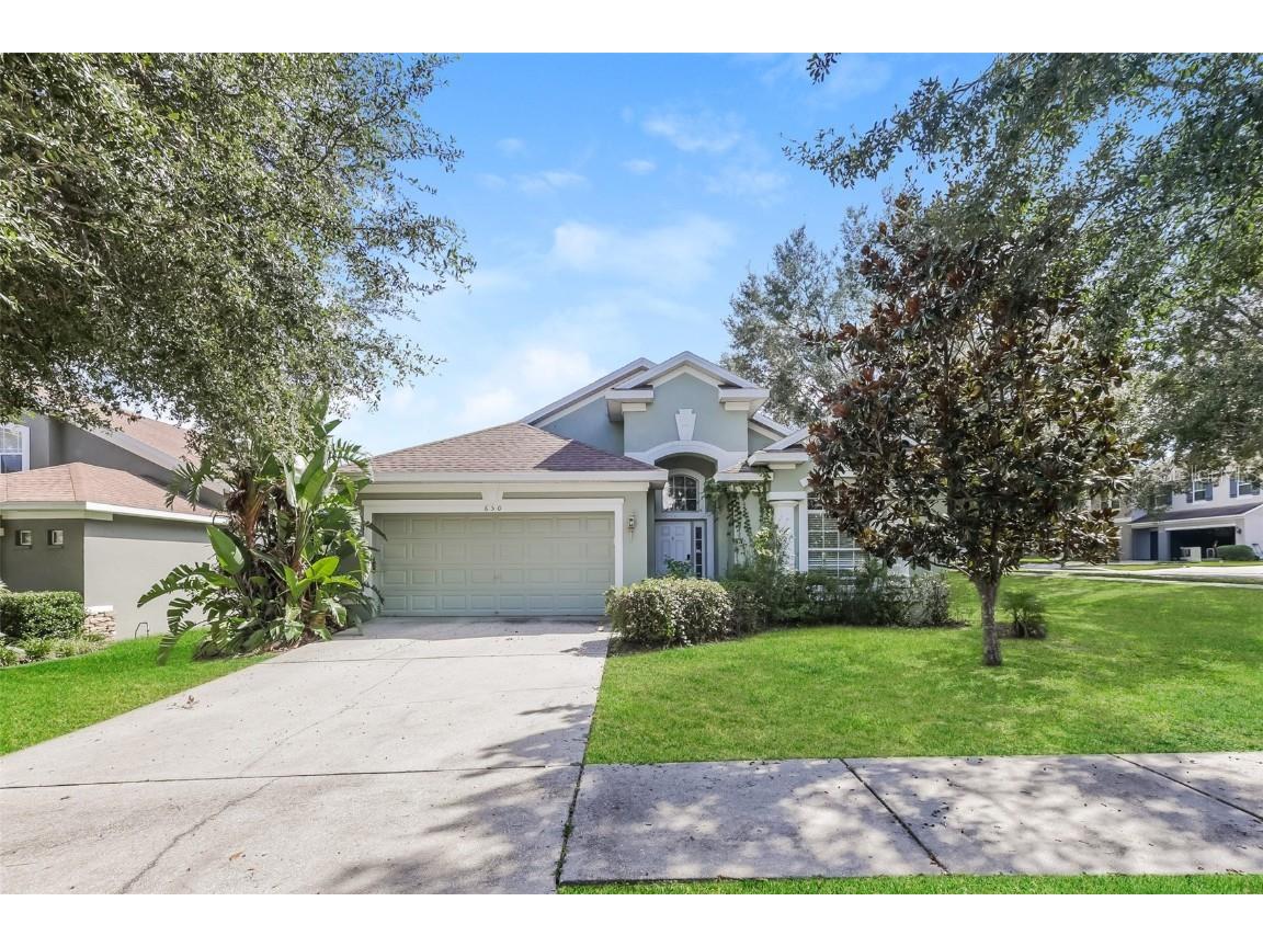 650 Chesney Drive Valrico FL 33594 O6349111 image1