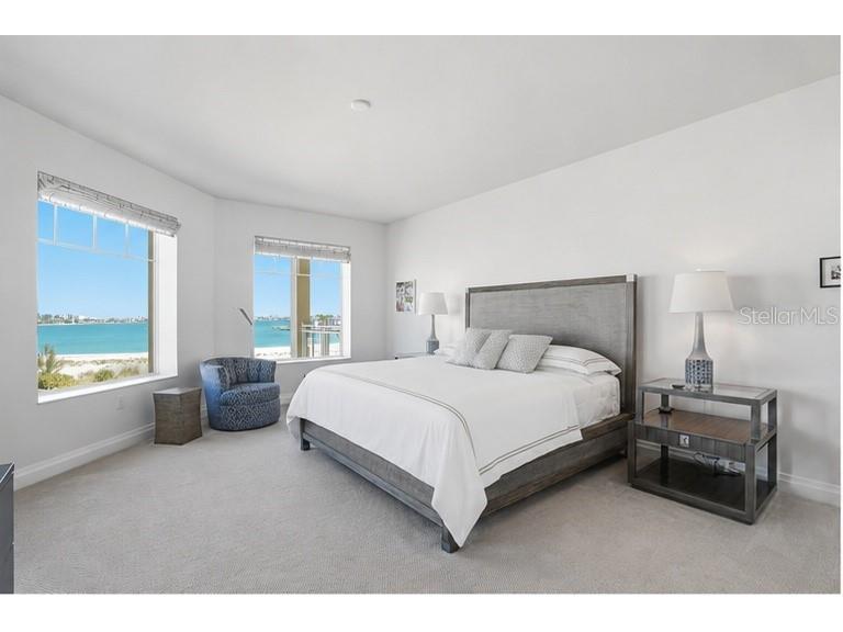 650 Collany Road #401 Tierra Verde FL 33715 - GULF OF MEXICO TB8501380 image25