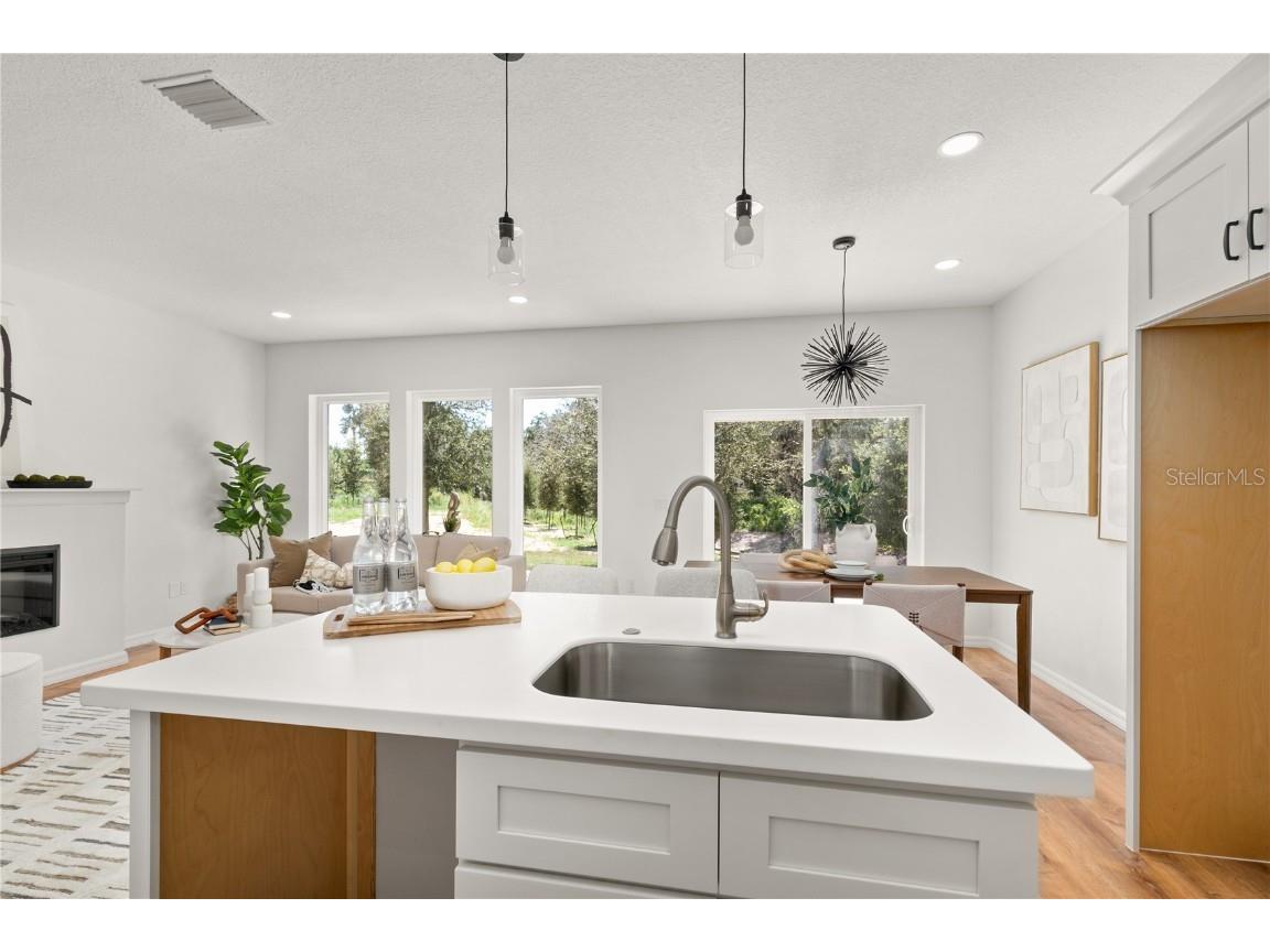 650 E Liberty Avenue Mount Dora FL 32757 G5094719 image13