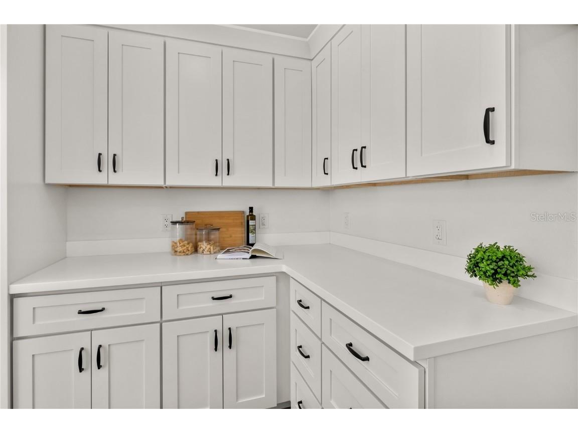 650 E Liberty Avenue Mount Dora FL 32757 G5094719 image14