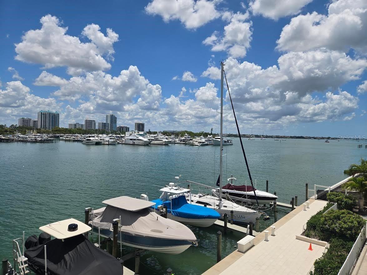 650 Golden Gate Point #301 Sarasota FL 34236 - SARASOTA BAY FRONT A4694109 image31