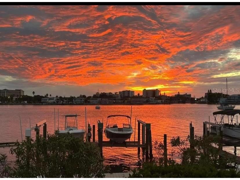 650 Island Way #104 Clearwater FL 33767 U8223377 image1