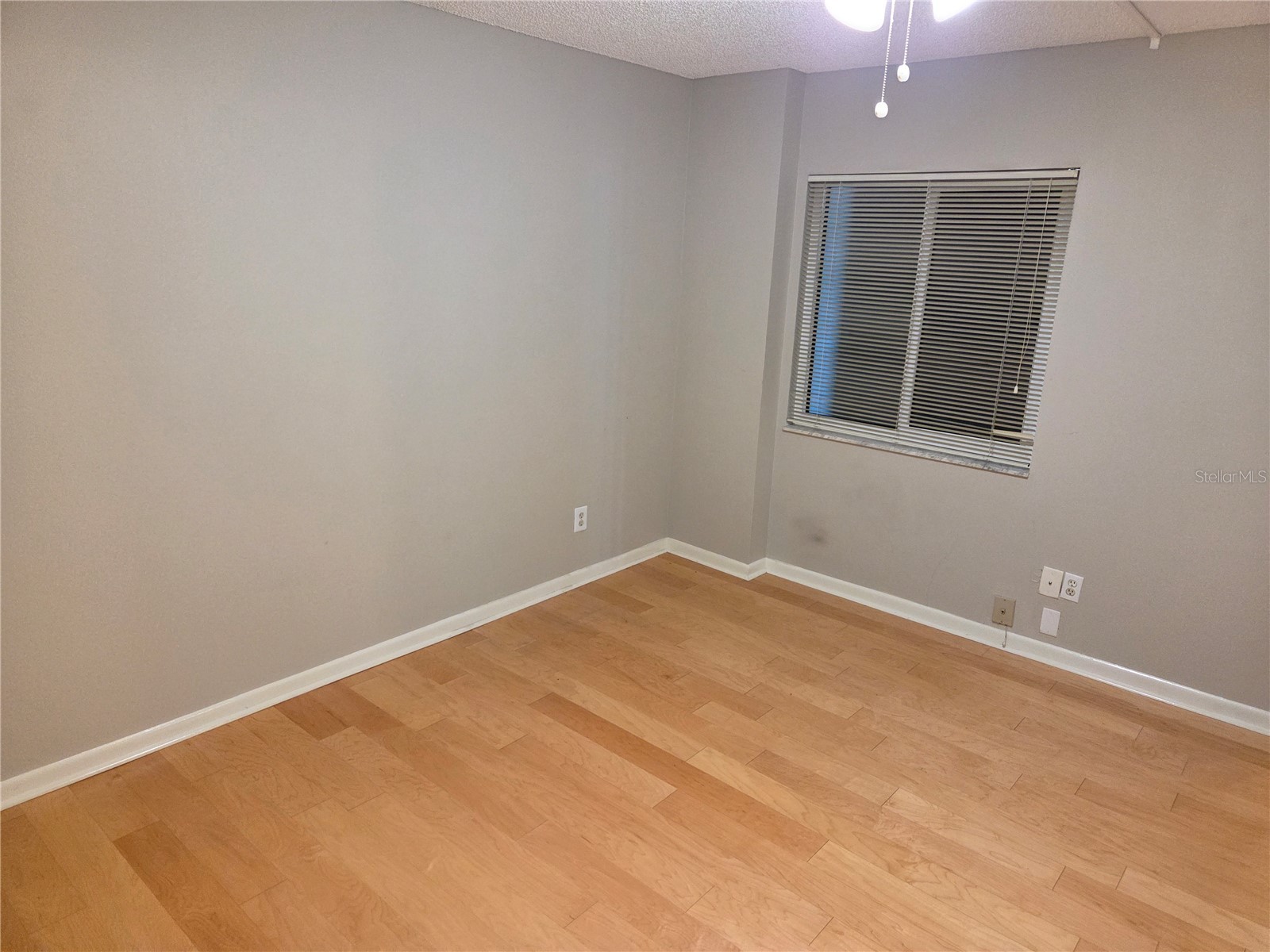 650 Island Way #202 Clearwater Beach FL 33767 TB8502064 image32