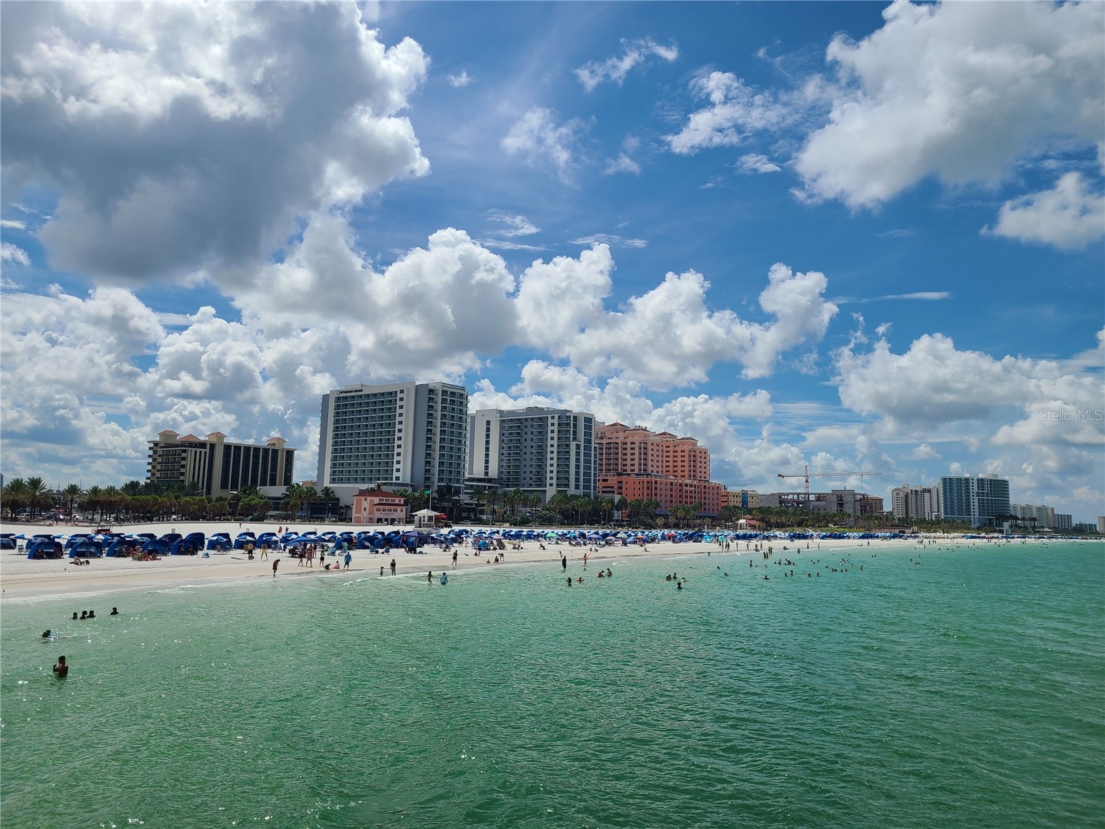 650 Island Way #202 Clearwater Beach FL 33767 TB8502064 image45