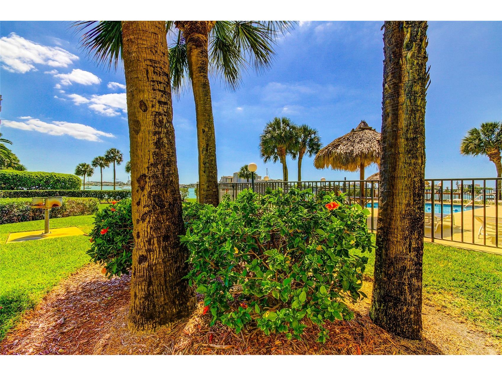 650 Island Way #206 Clearwater Beach FL 33767 TB8480168 image39