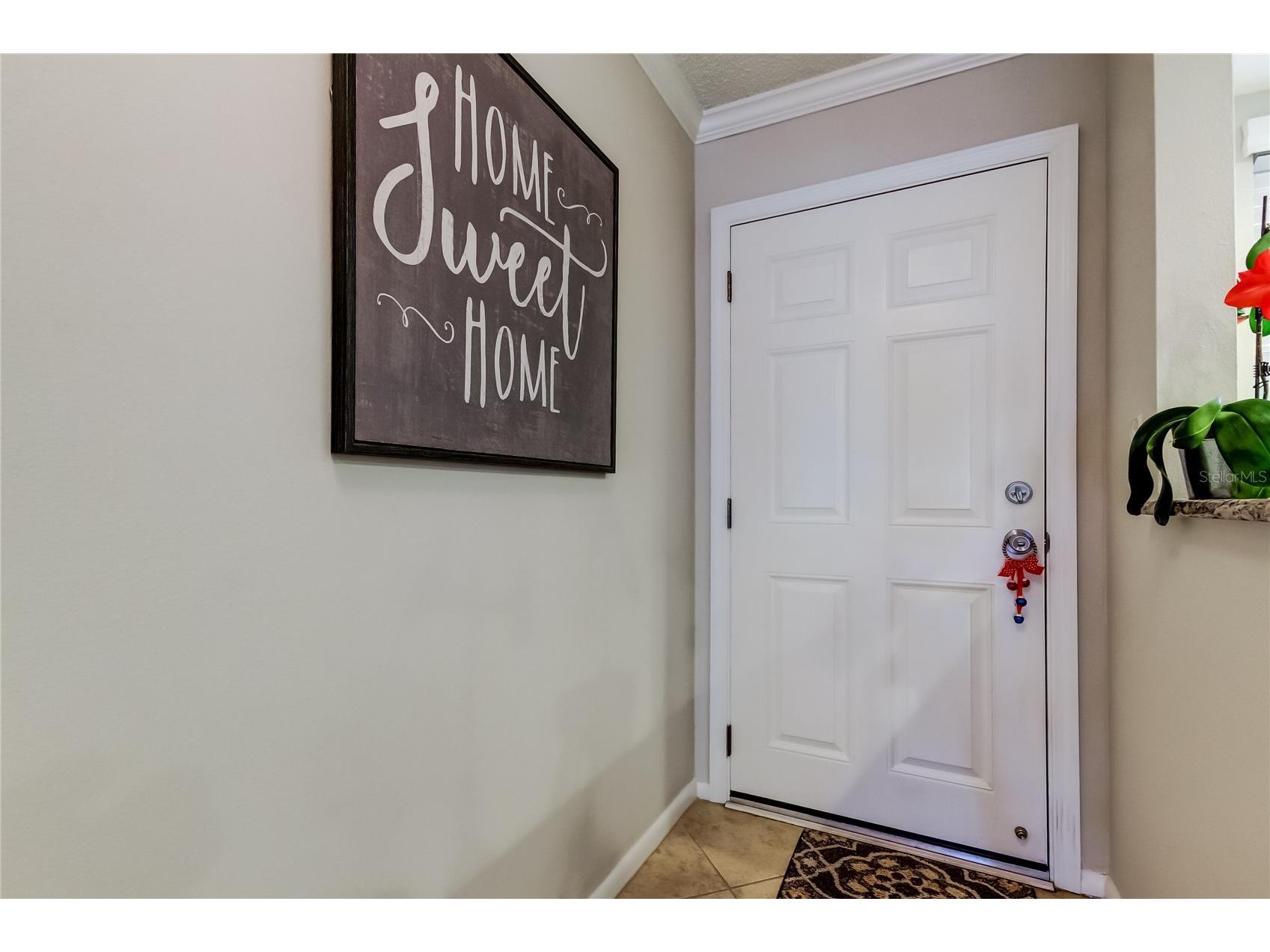 650 Island Way #206 Clearwater Beach FL 33767 TB8480168 image6