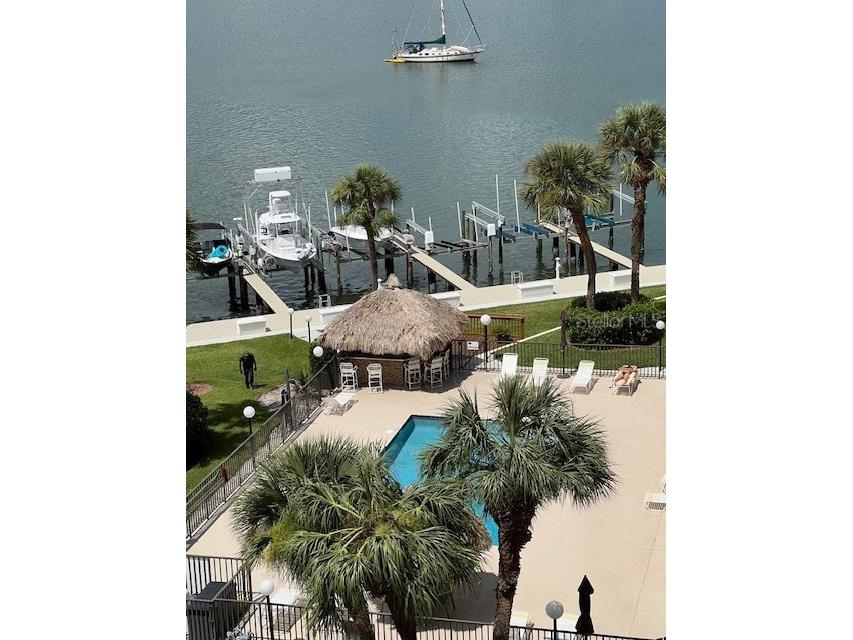 650 Island Way #708 Clearwater Beach FL 33767 TB8470621 image27