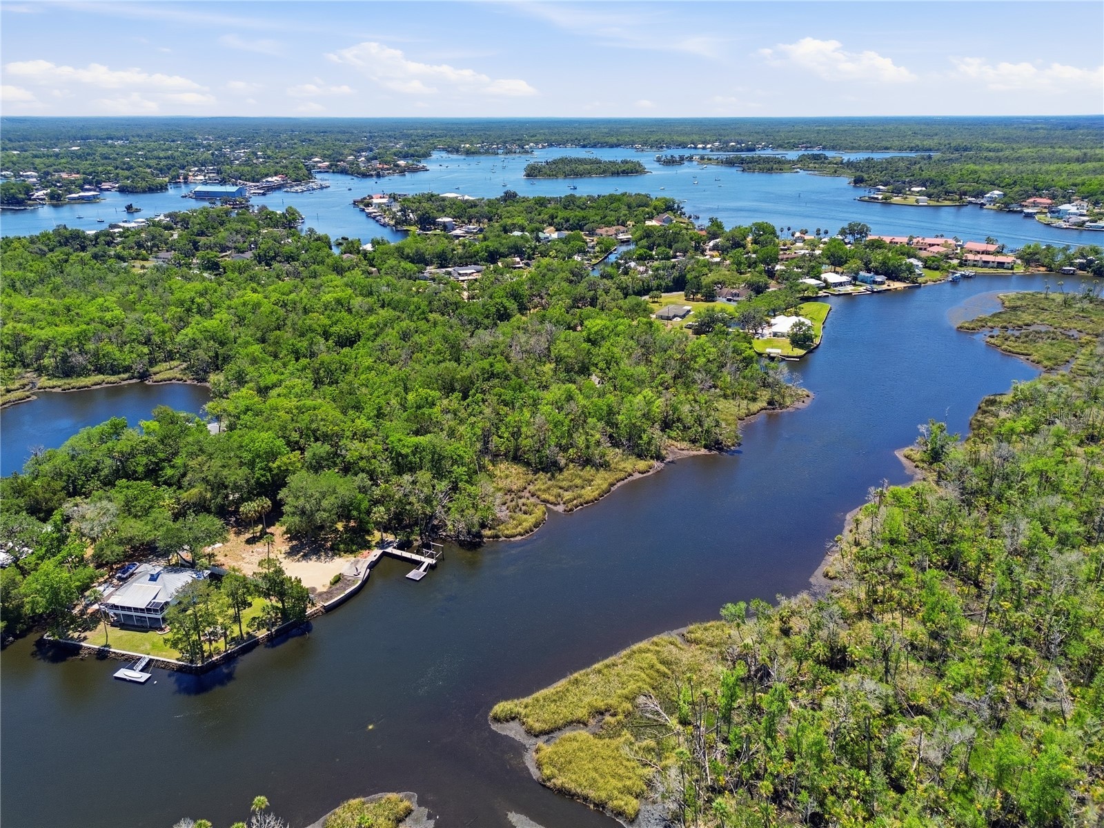 650 Miller Creek Road Crystal River FL 34428 - Miller Creek OM724011 image2