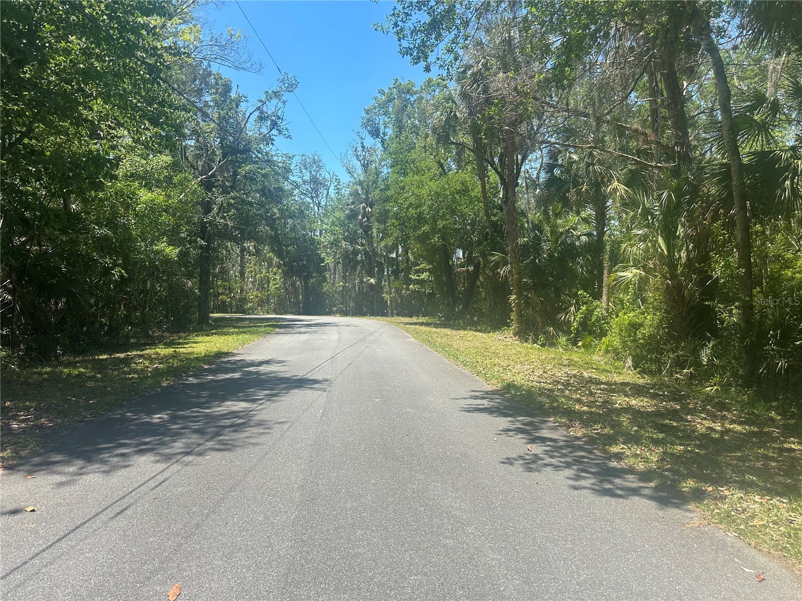 650 Miller Creek Road Crystal River FL 34428 - Miller Creek OM724011 image7