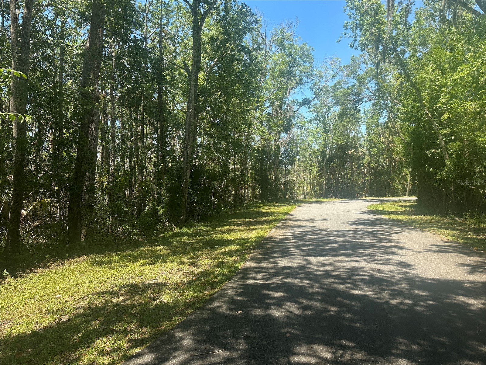 650 Miller Creek Road Crystal River FL 34428 - Miller Creek OM724011 image8