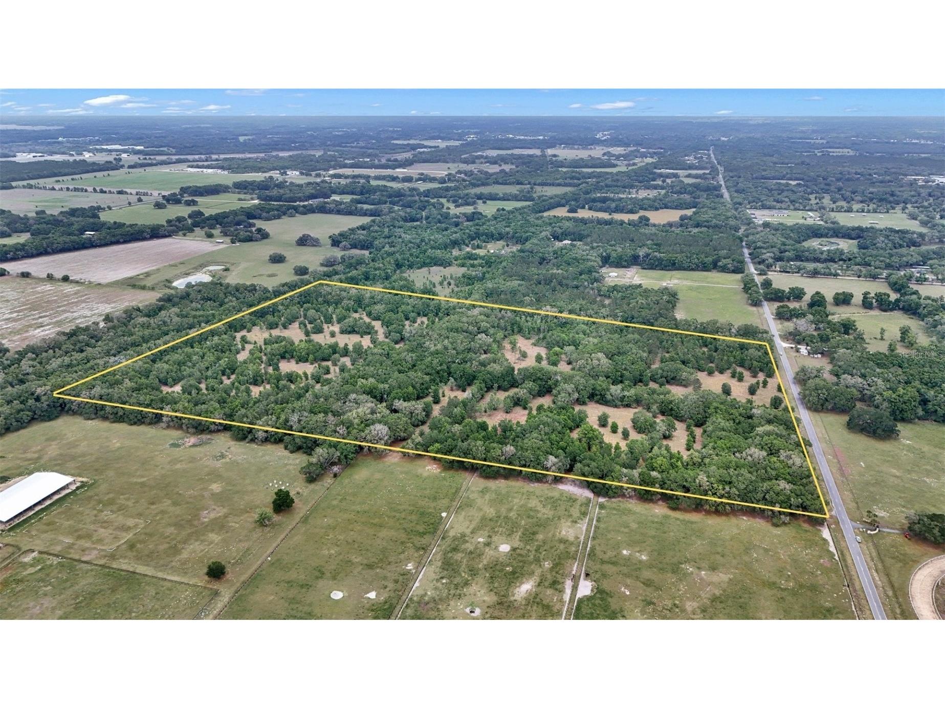 650 NE 200th Avenue Williston FL 32696 O6403664 image1