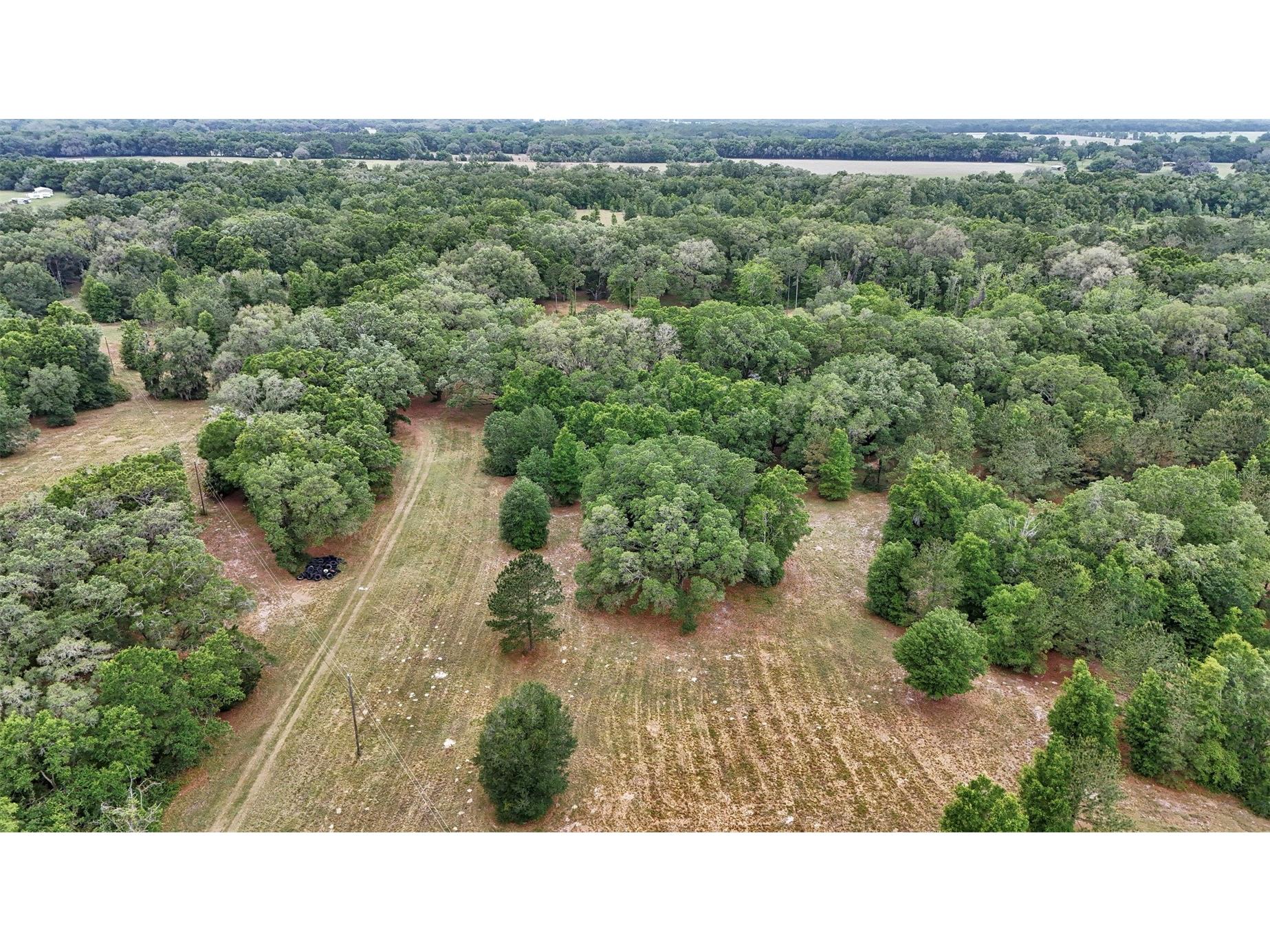 650 NE 200th Avenue Williston FL 32696 O6403664 image11