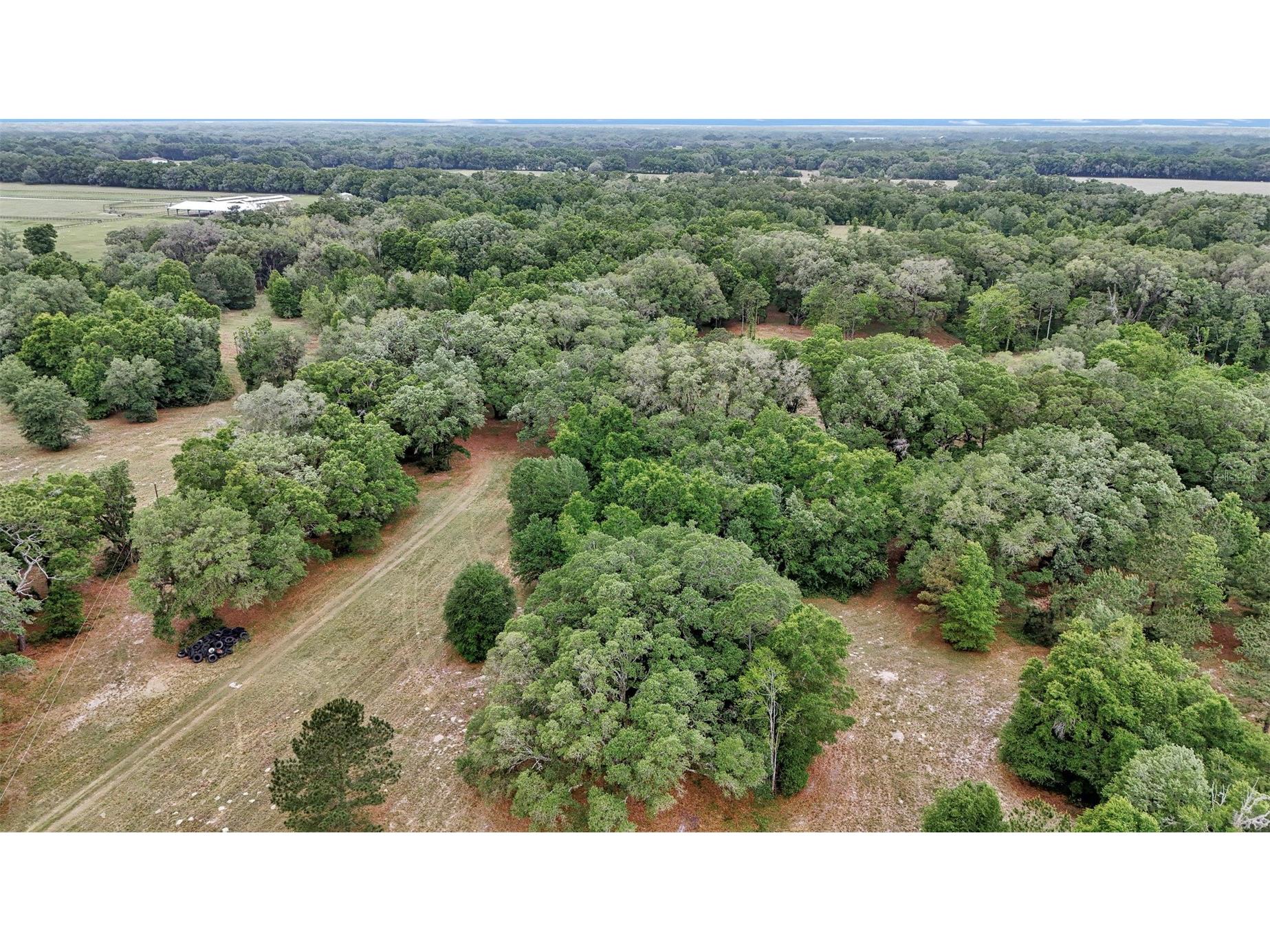 650 NE 200th Avenue Williston FL 32696 O6403664 image12