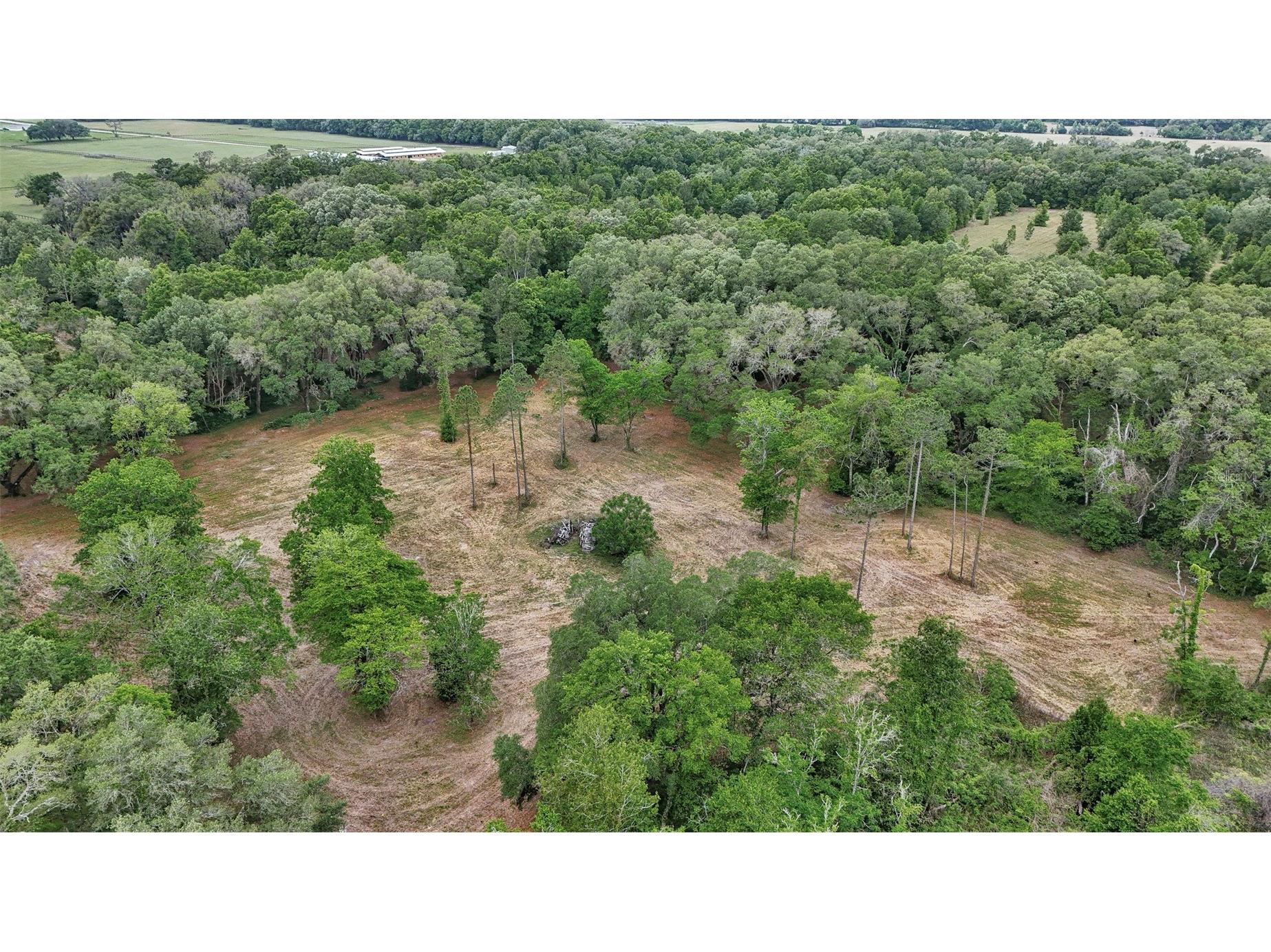650 NE 200th Avenue Williston FL 32696 O6403664 image13