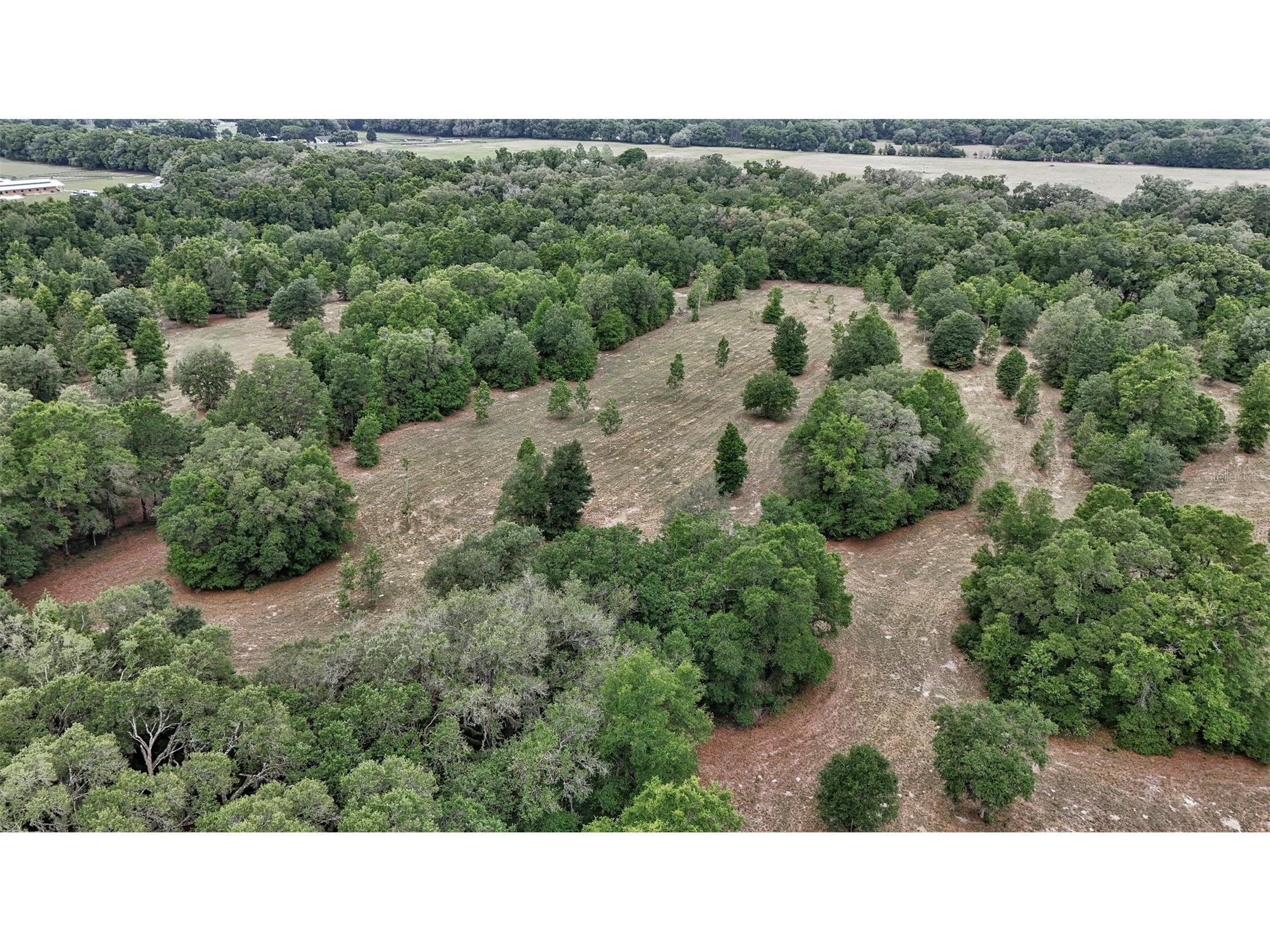 650 NE 200th Avenue Williston FL 32696 O6403664 image14