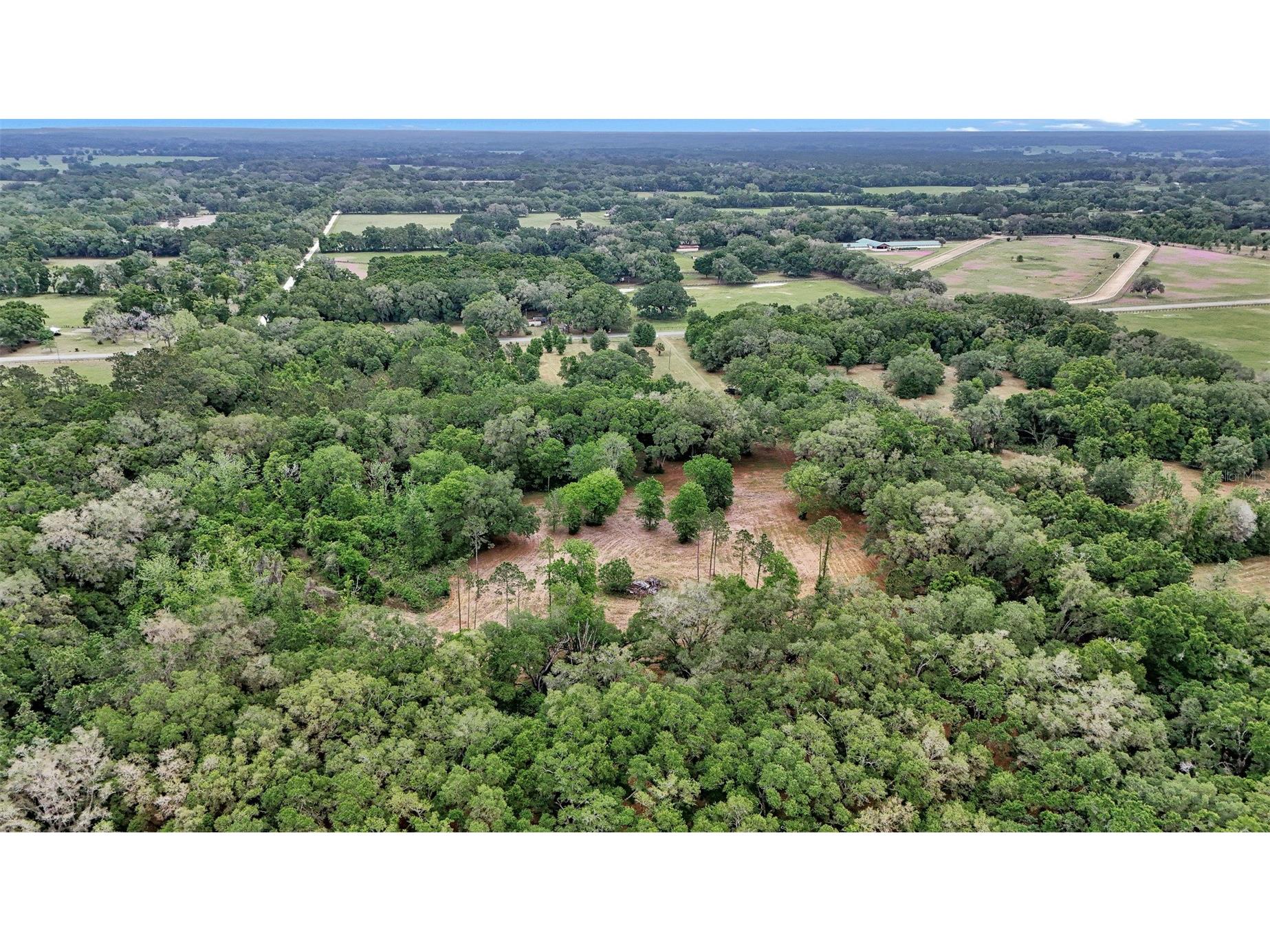 650 NE 200th Avenue Williston FL 32696 O6403664 image15