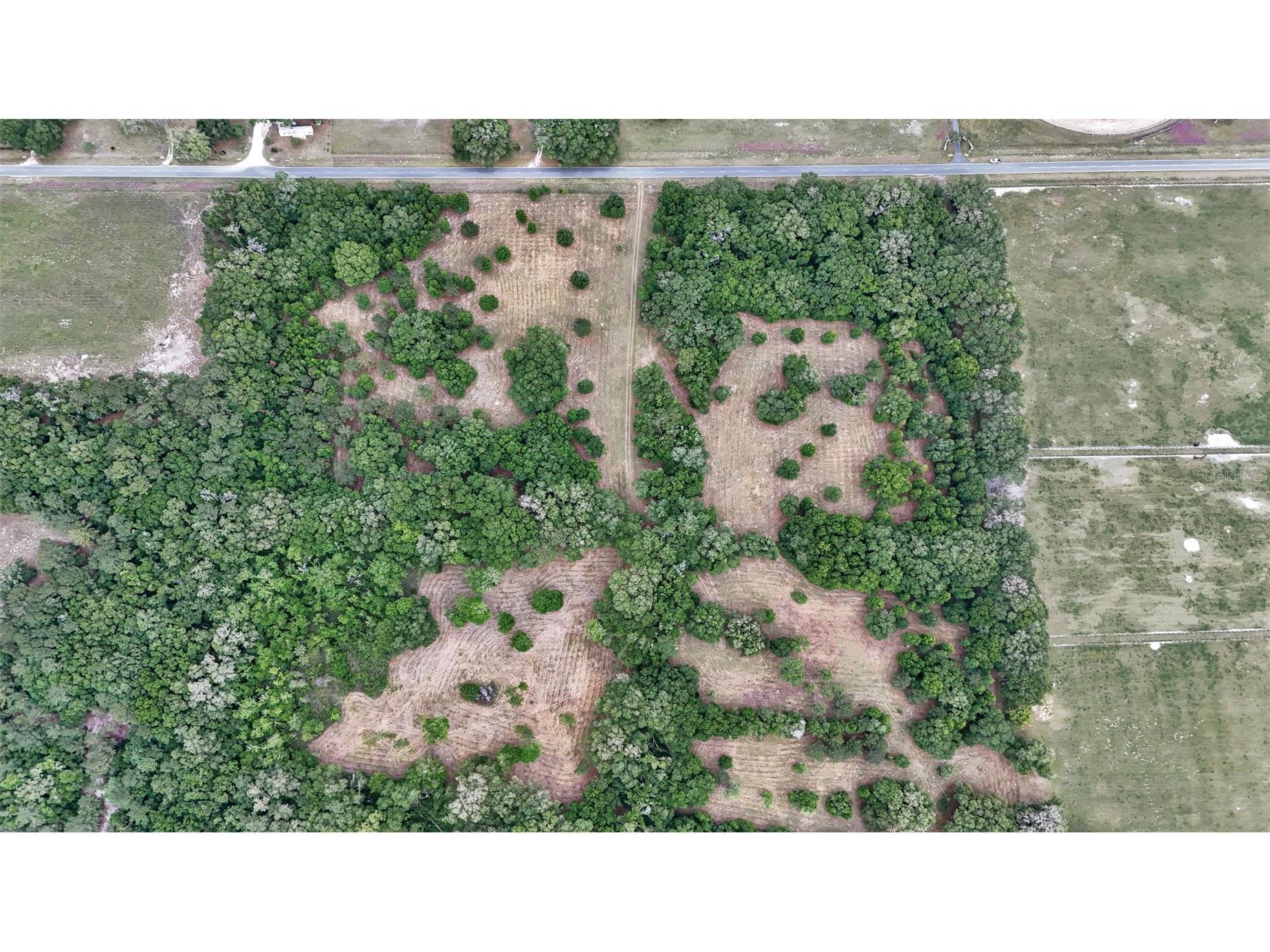 650 NE 200th Avenue Williston FL 32696 O6403664 image18