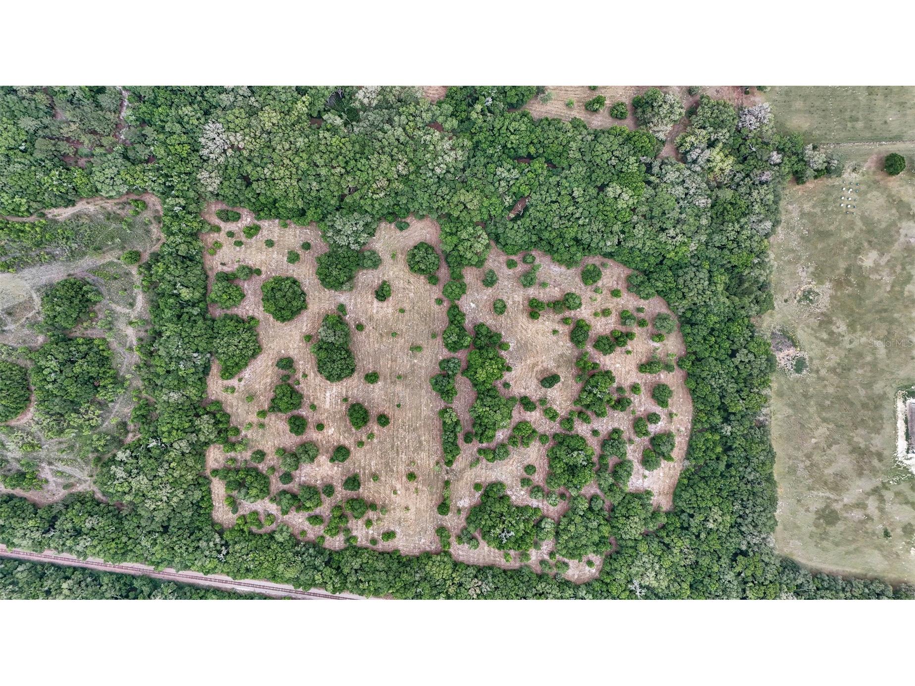 650 NE 200th Avenue Williston FL 32696 O6403664 image19