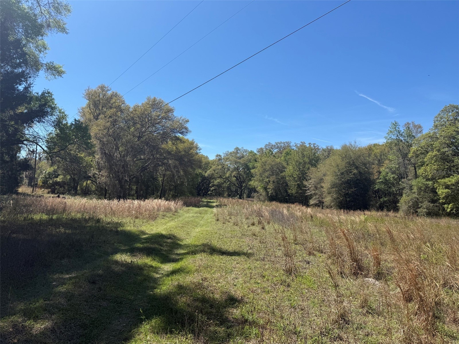 650 NE 200th Avenue Williston FL 32696 O6403664 image22