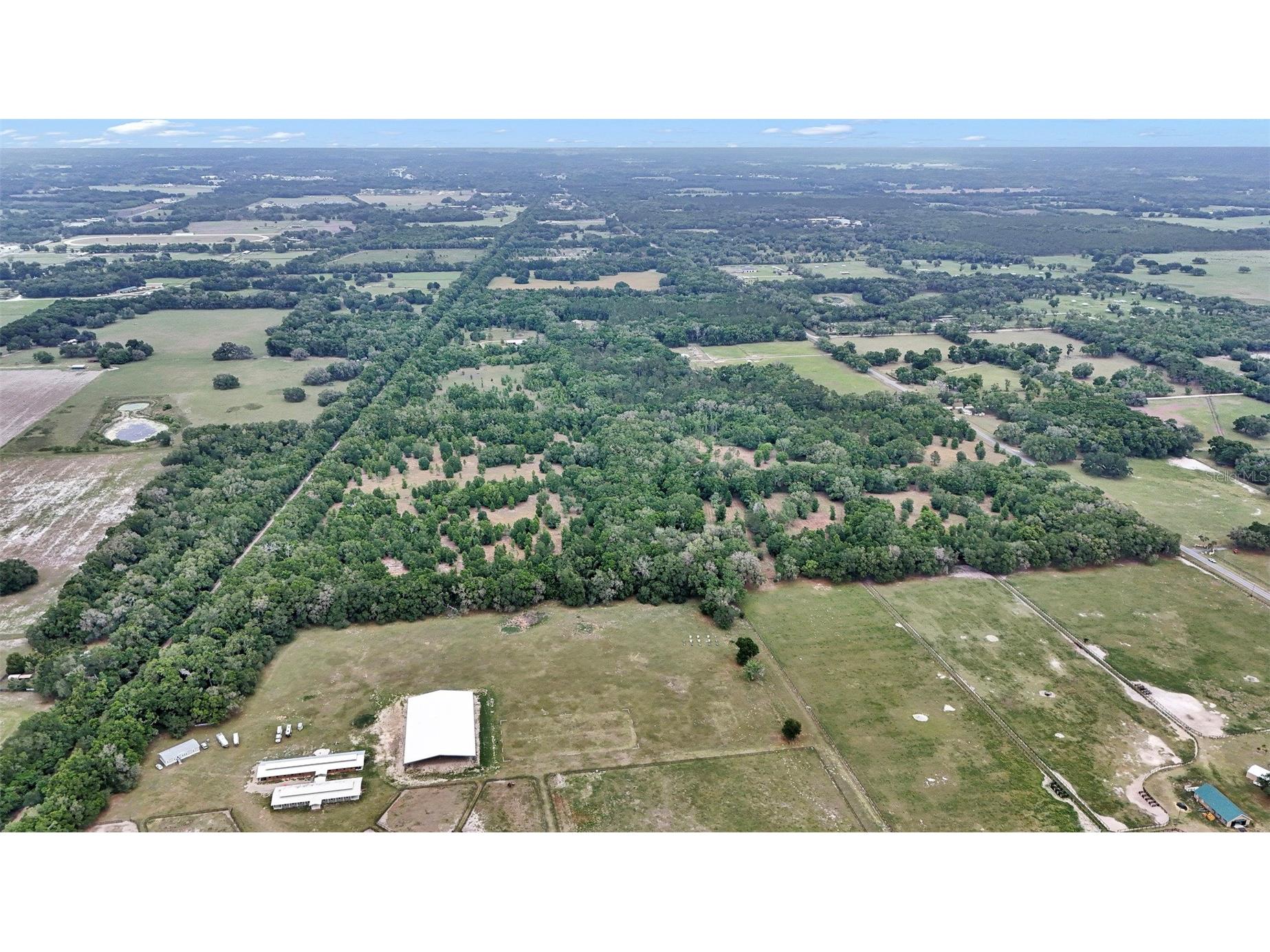 650 NE 200th Avenue Williston FL 32696 O6403664 image4