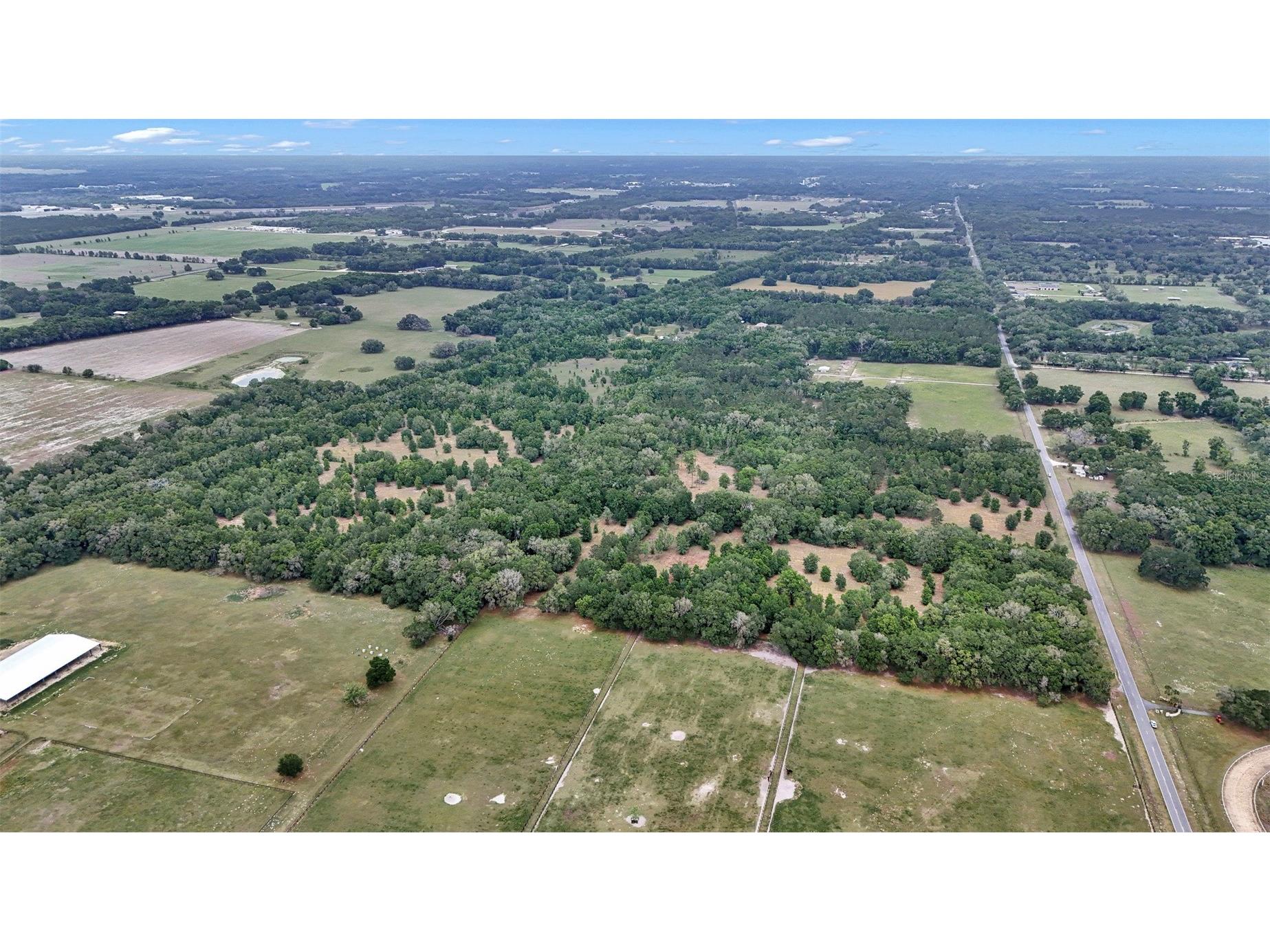650 NE 200th Avenue Williston FL 32696 O6403664 image6