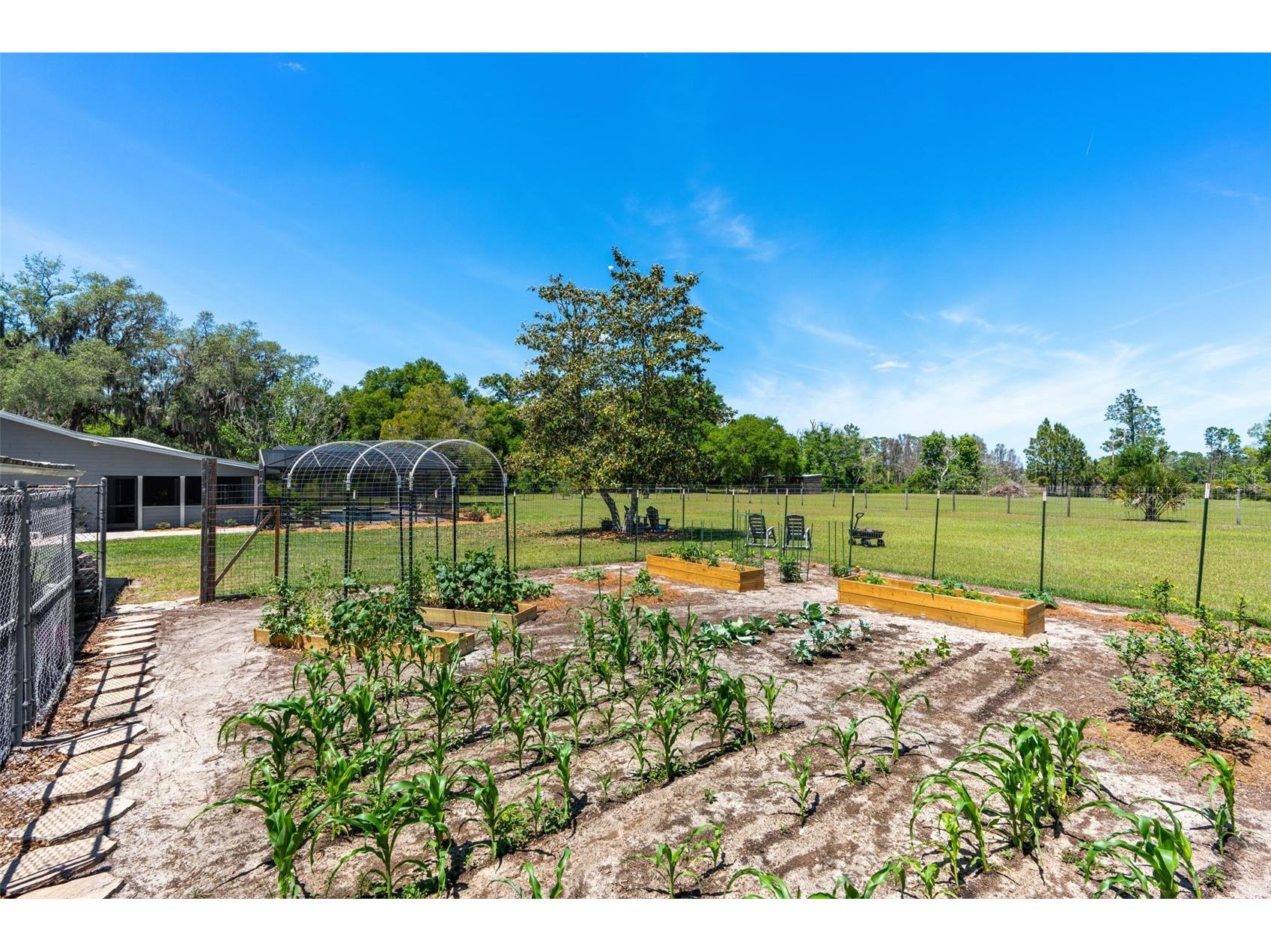 650 Old Mims Road Geneva FL 32732 - TAYLOR LAKE SOUTH O6400145 image70