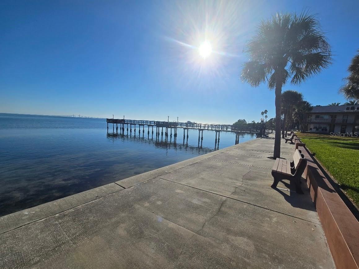 650 Pinellas Point Drive S #204 Saint Petersburg FL 33705 TB8507504 image4