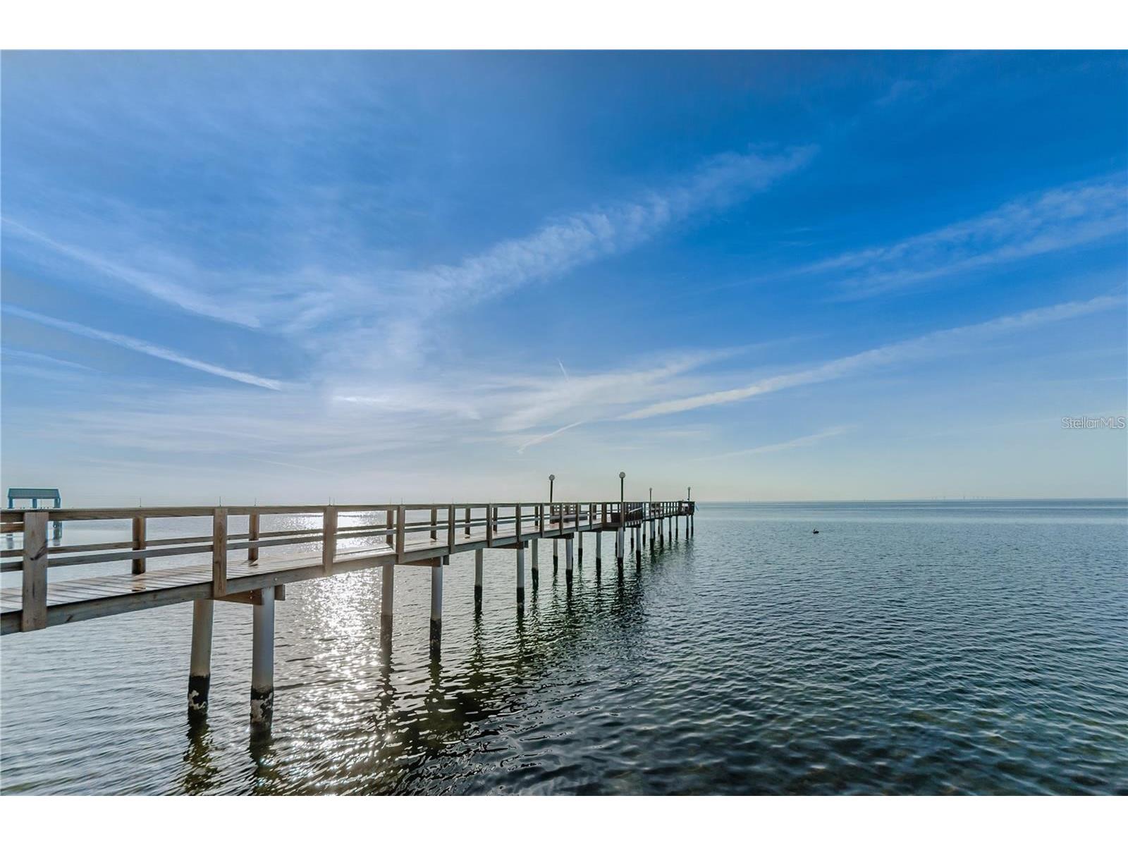 650 Pinellas Point Drive S #205 Saint Petersburg FL 33705 TB8478366 image31