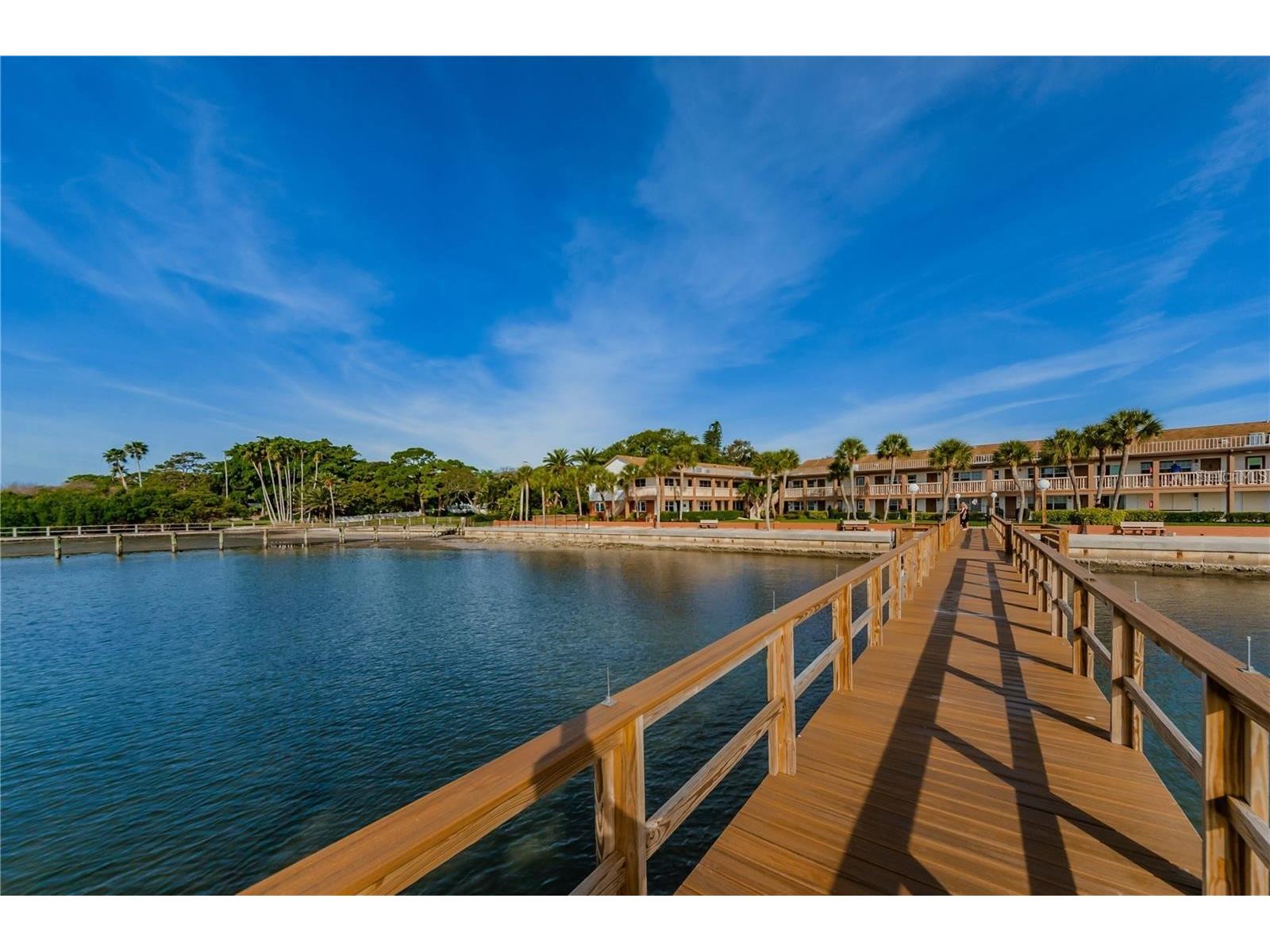 650 Pinellas Point Drive S #205 Saint Petersburg FL 33705 TB8478366 image32
