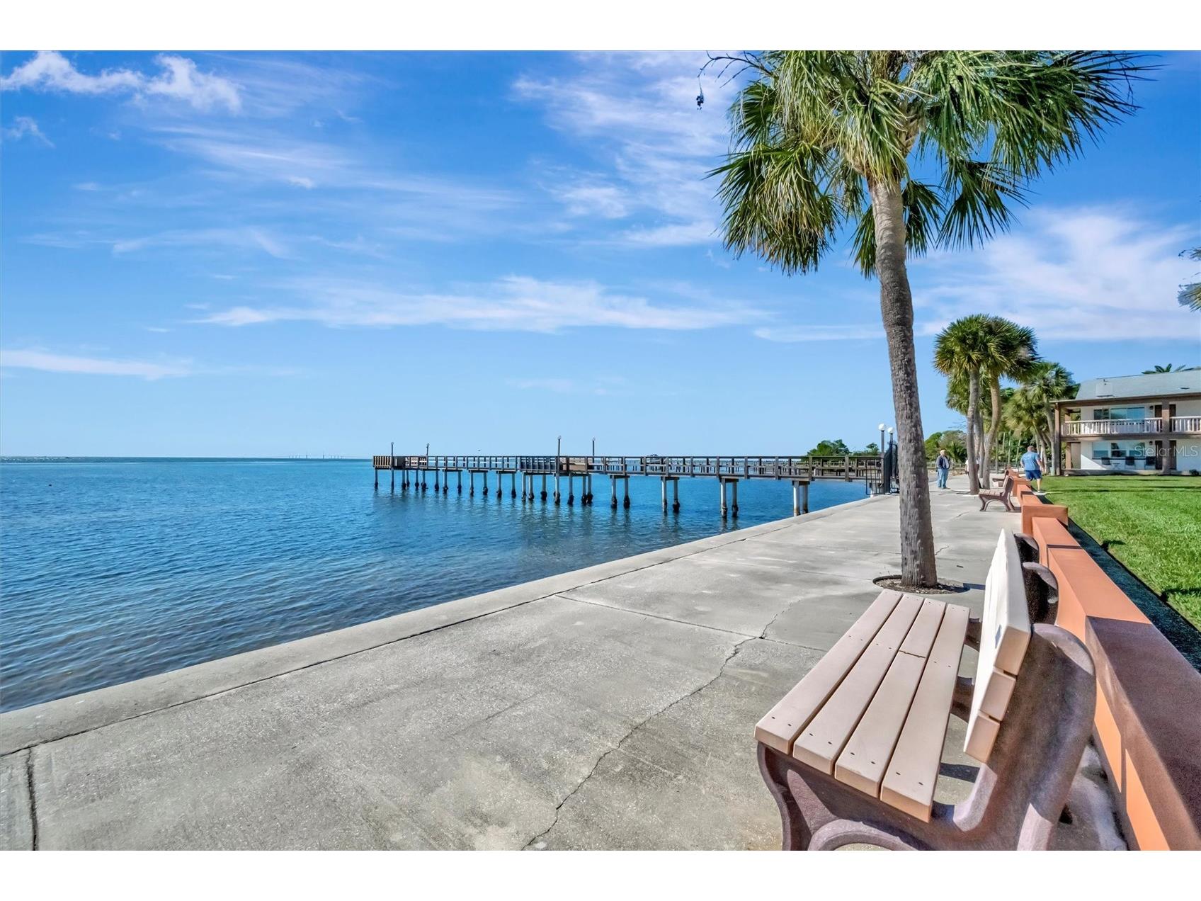 650 Pinellas Point Drive S #216 Saint Petersburg FL 33705 TB8509795 image30