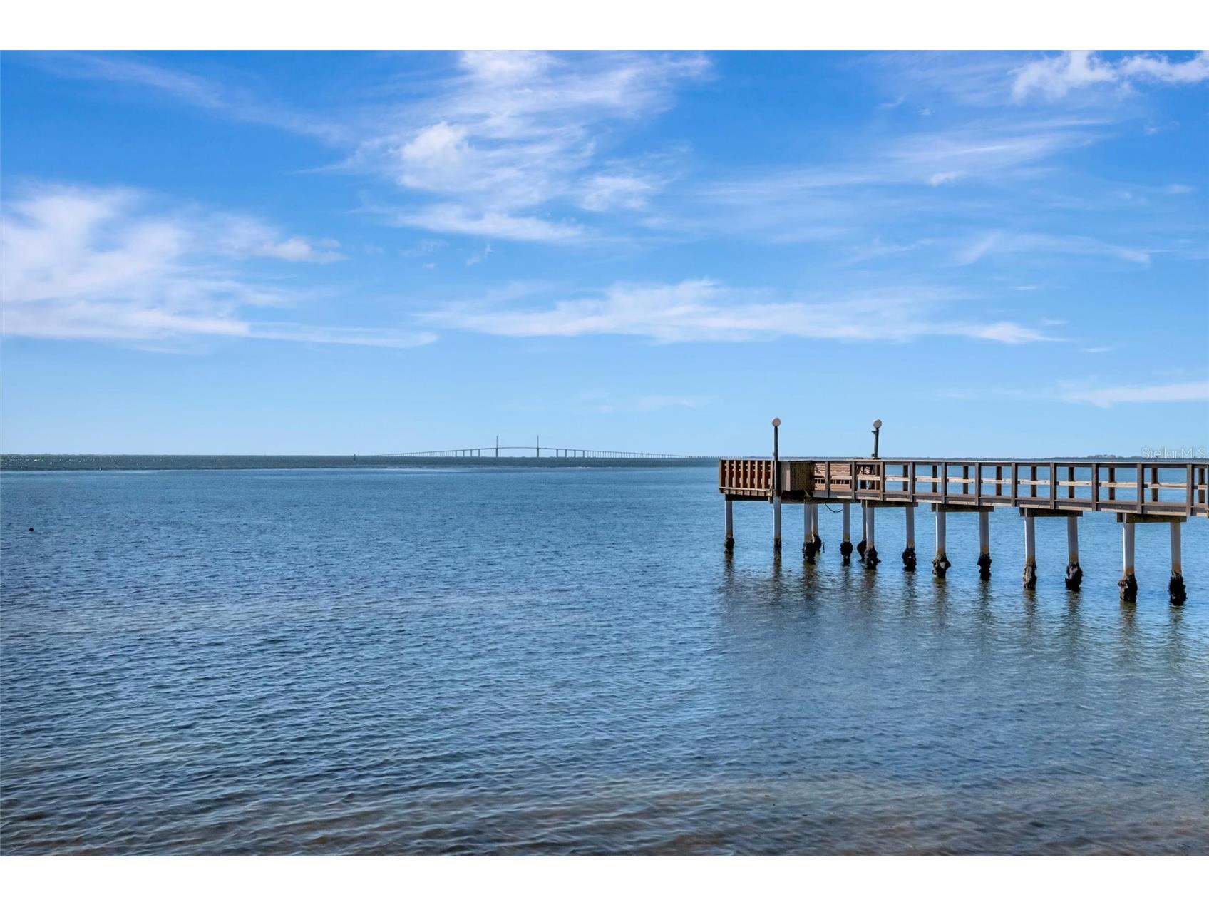 650 Pinellas Point Drive S #216 Saint Petersburg FL 33705 TB8509795 image31