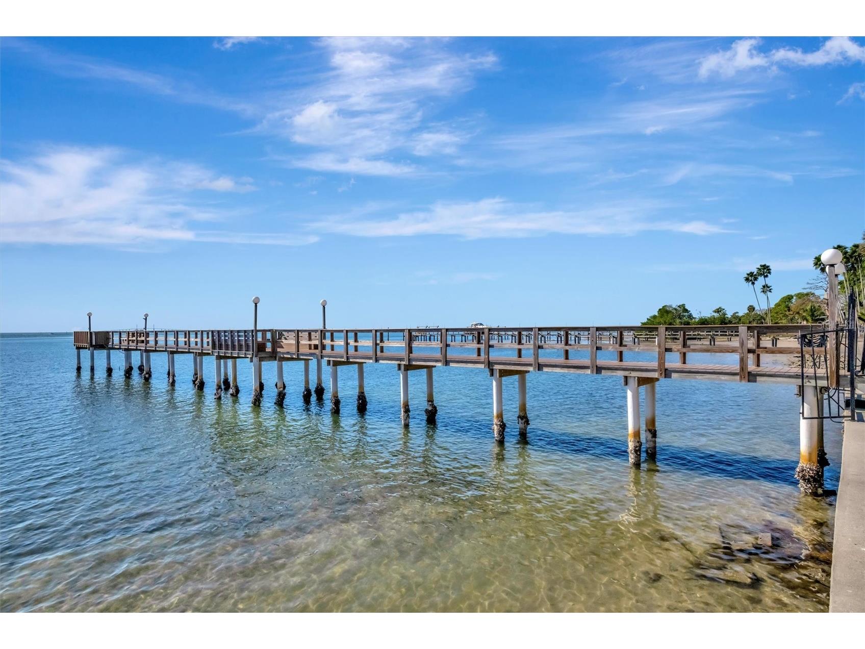 650 Pinellas Point Drive S #216 Saint Petersburg FL 33705 TB8509795 image35