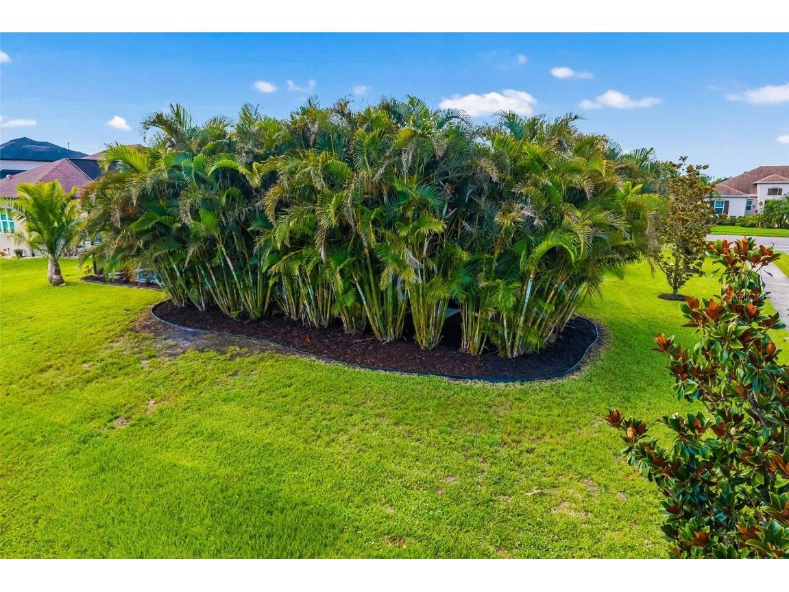 650 Rosemary Circle Bradenton FL 34212 A4655245 image44