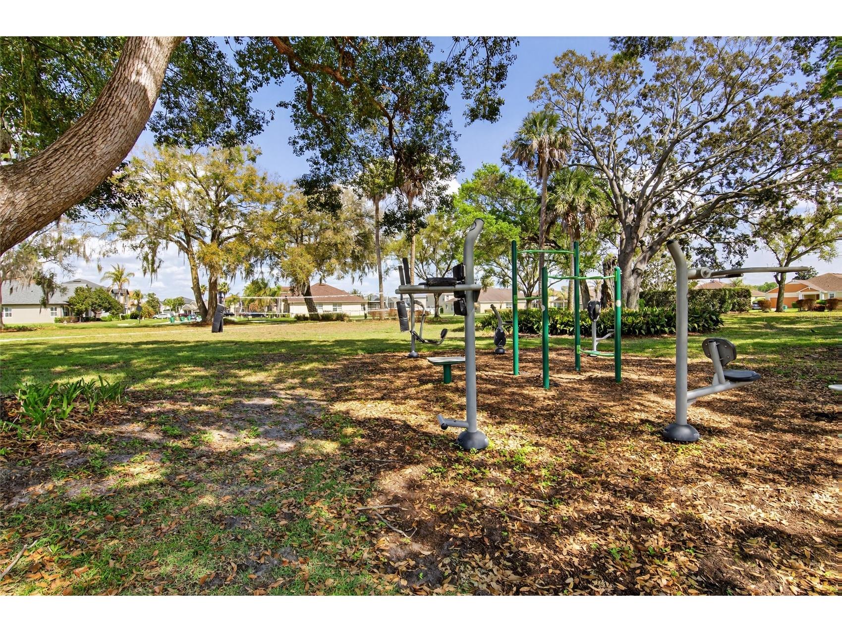 650 Setting Sun Drive Winter Garden FL 34787 - Black Lake O6390644 image58