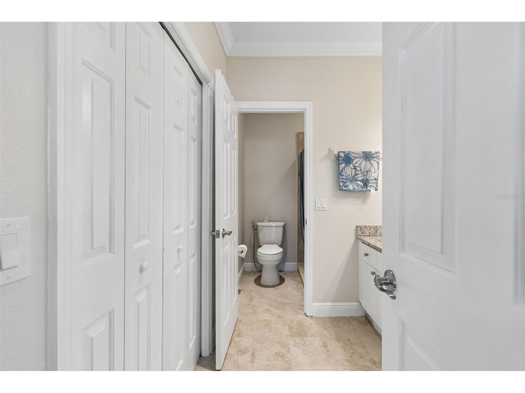 650 Siren Wind Lane Clearwater FL 33756 TB8502993 image39