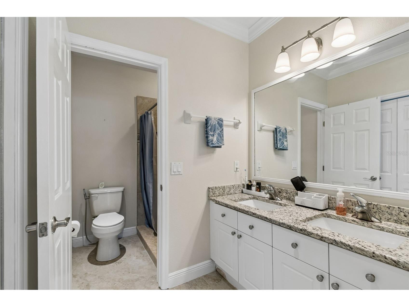 650 Siren Wind Lane Clearwater FL 33756 TB8502993 image40