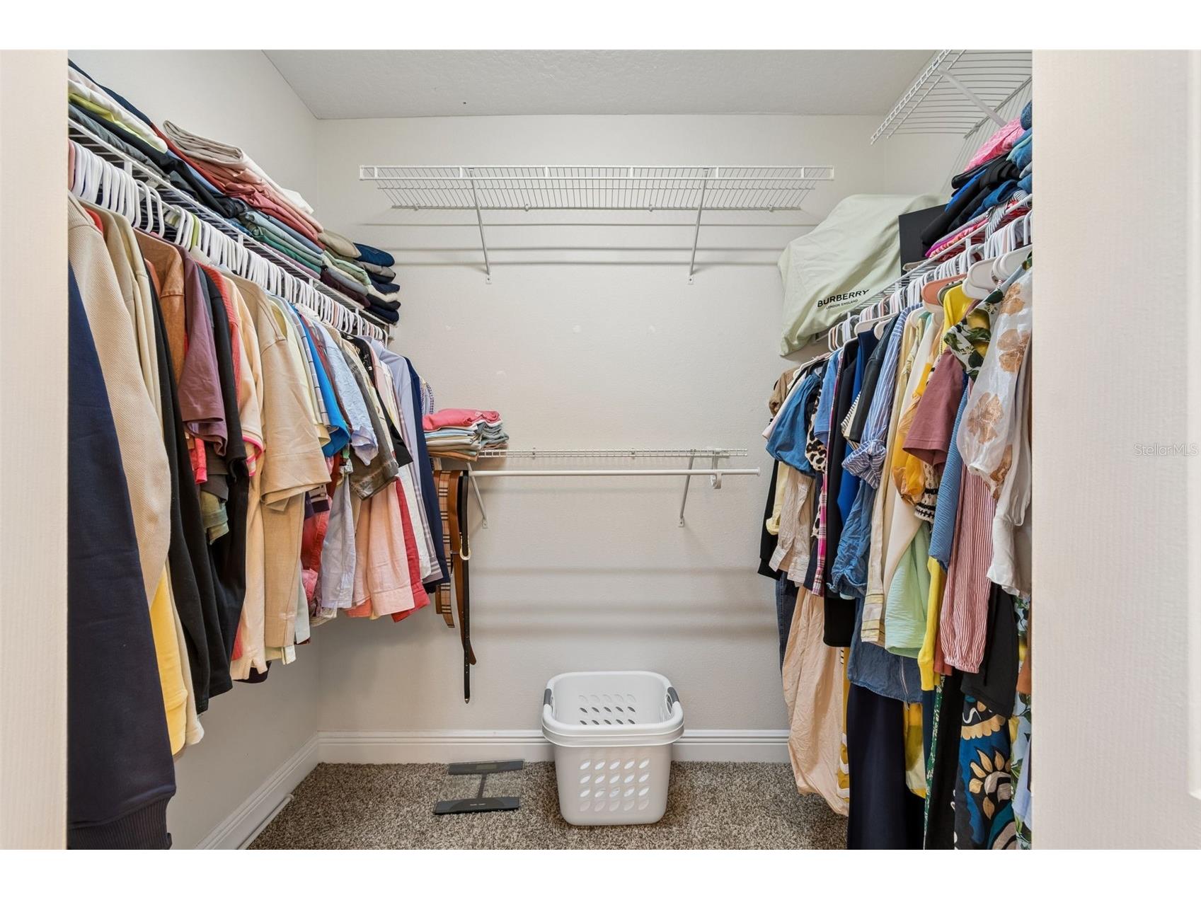 650 Siren Wind Lane Clearwater FL 33756 TB8502993 image44
