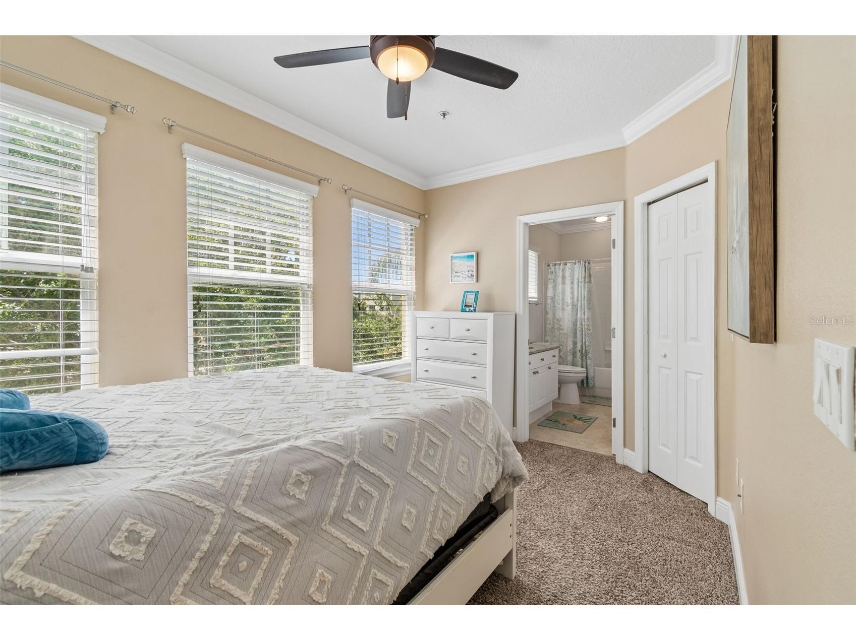 650 Siren Wind Lane Clearwater FL 33756 TB8502993 image46